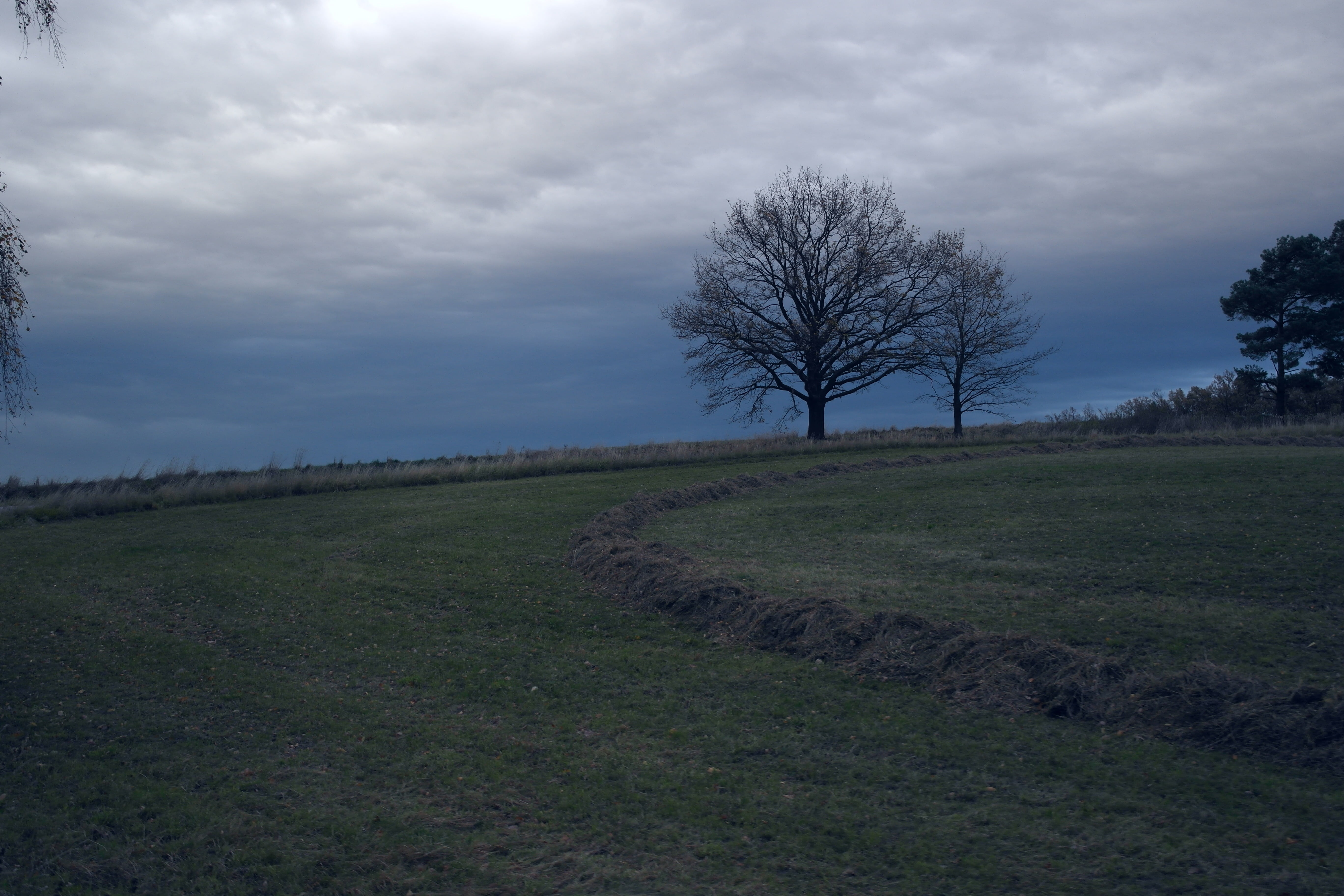 tree, storm, clouds, cloud - sky, land, tranquil scene, tranquility