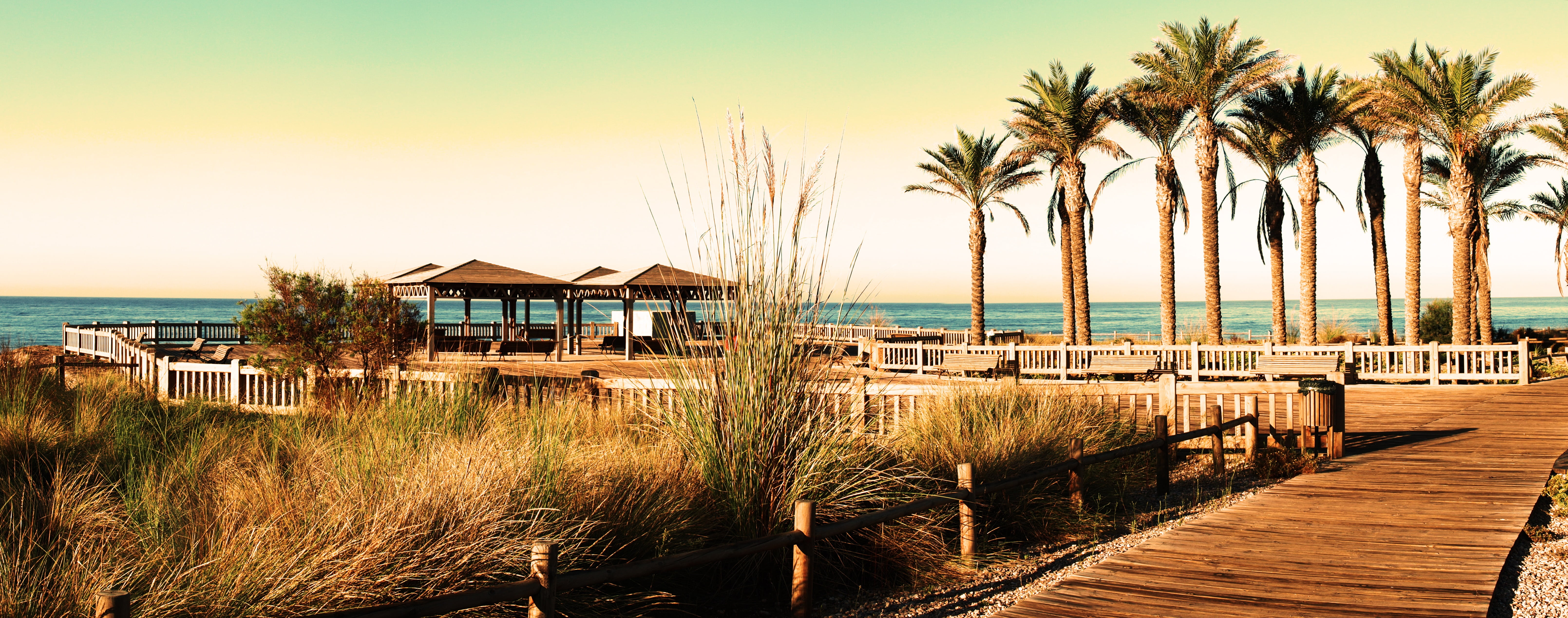 toyo, park, almeria, andalusia, spain, palms, wood, beach, sea
