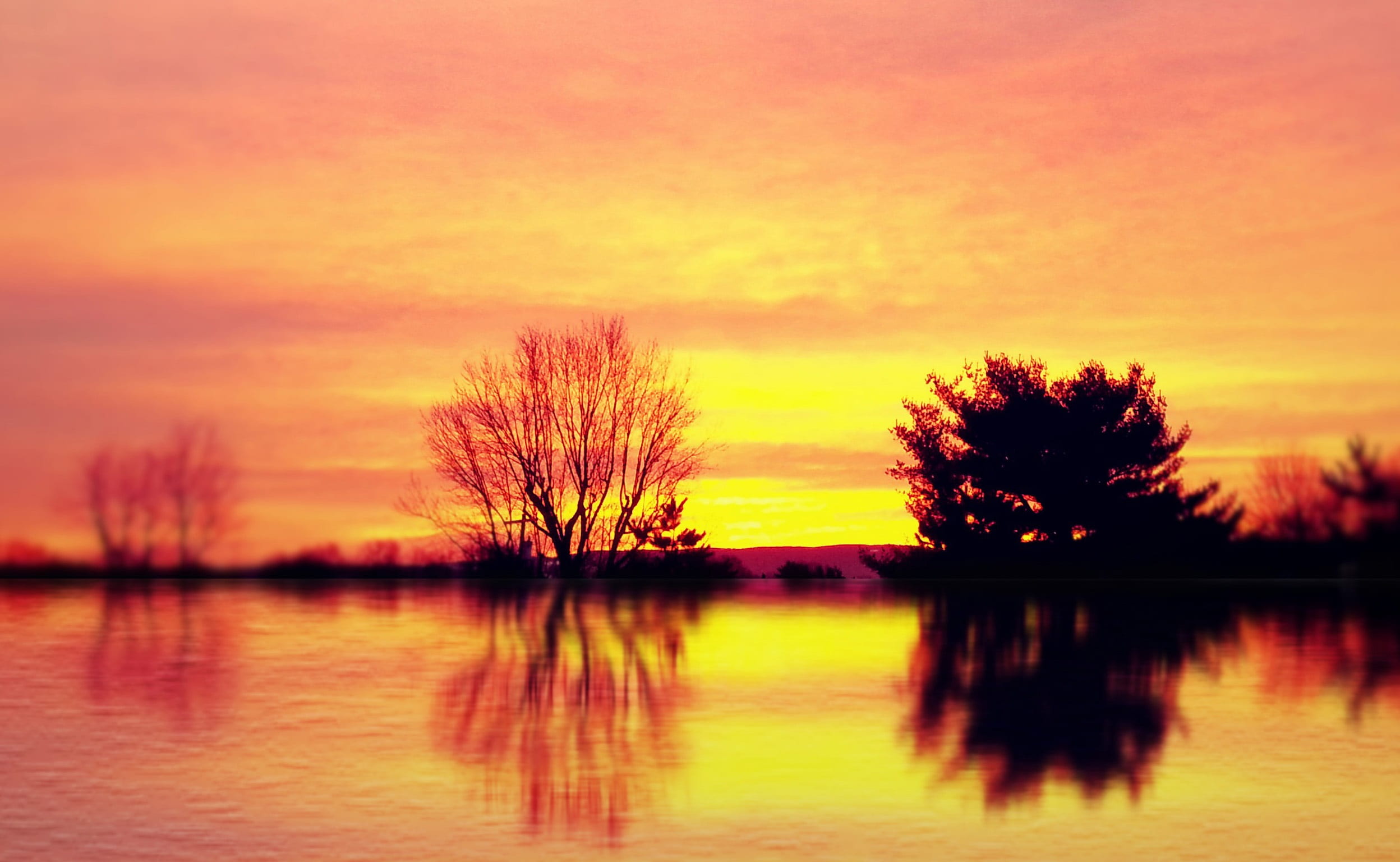 sky, mirror, orange, reflection, tranquility, water, lake, tree
