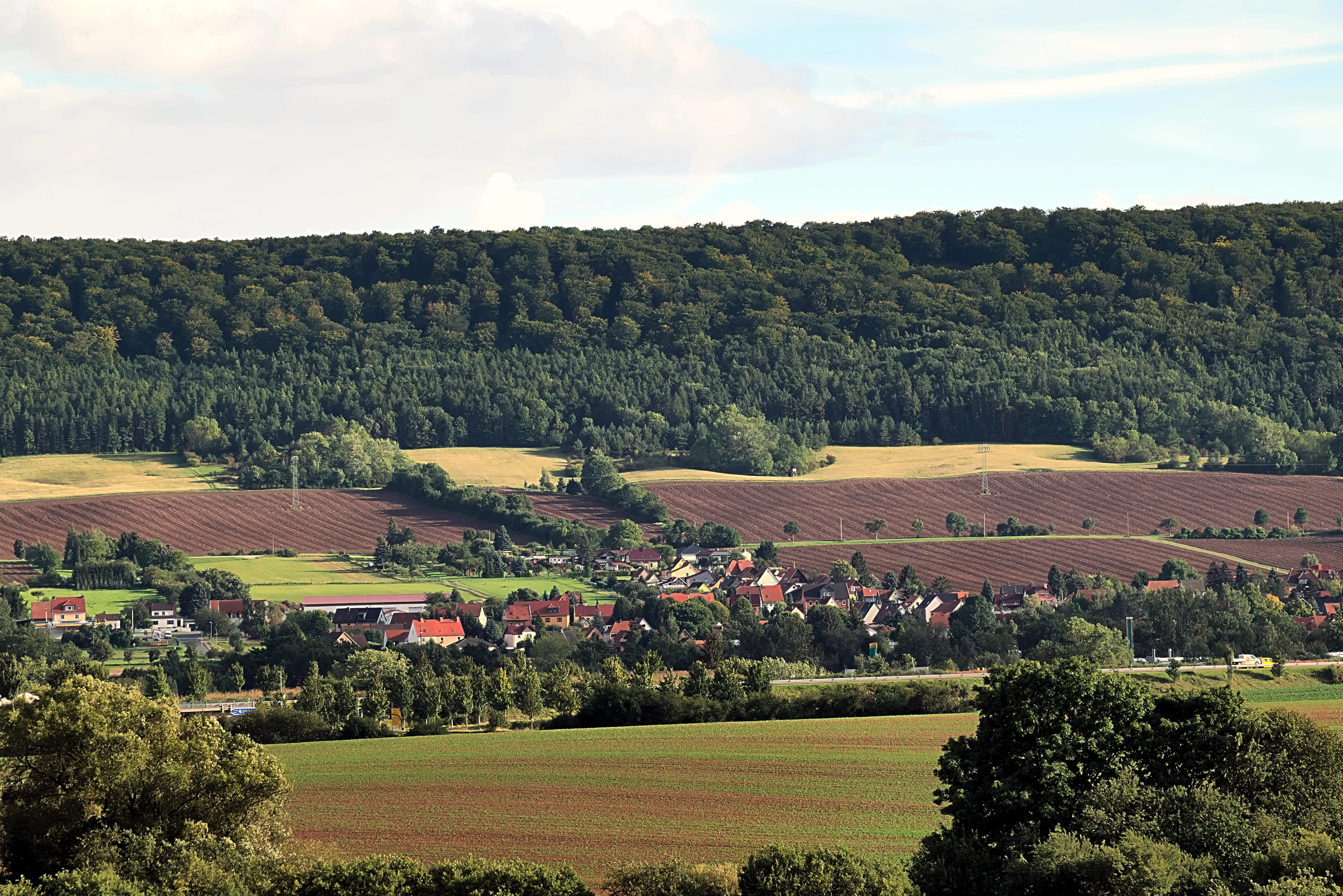 landscape, fields, forest, reported, village, tree, plant, sky