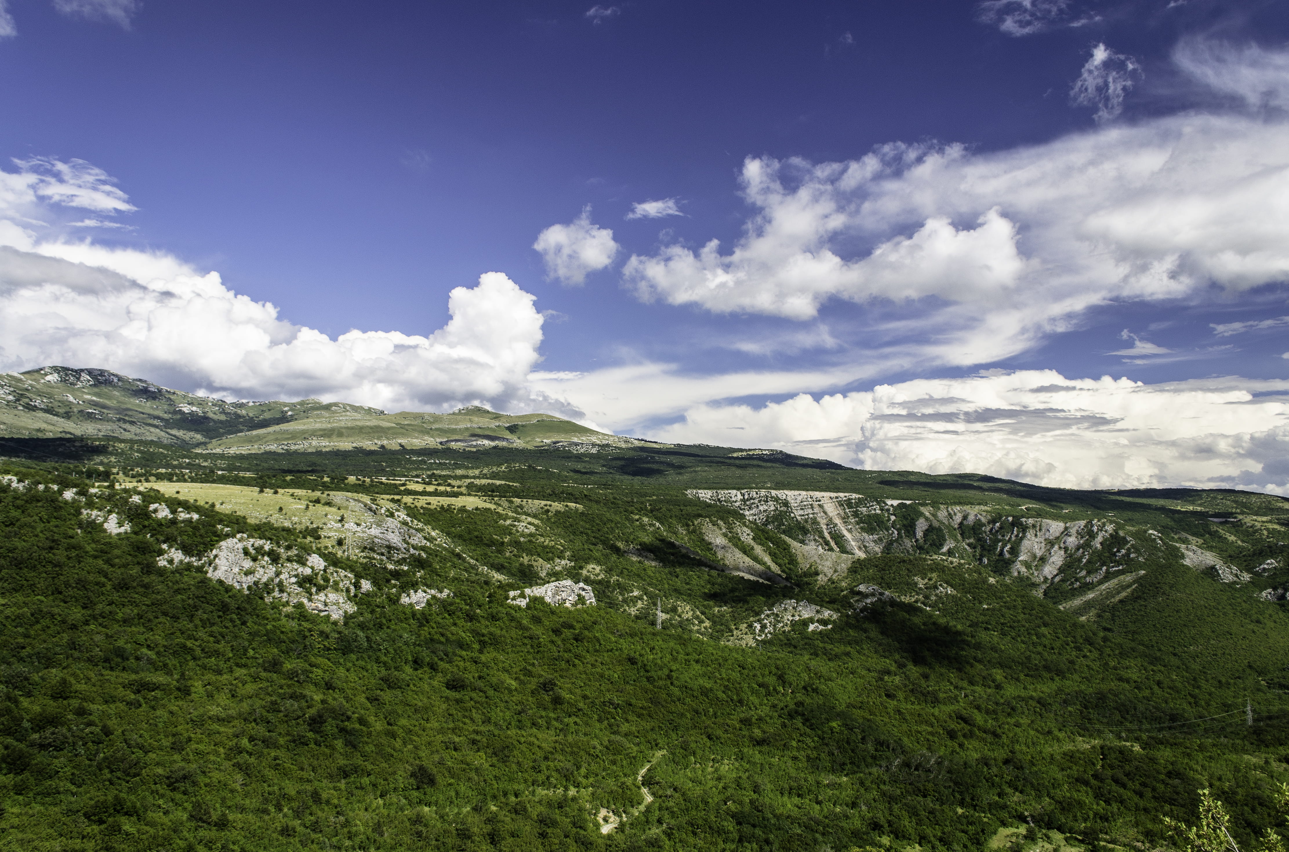 green terrain under clear sky, untitled, cloud, forest, tree