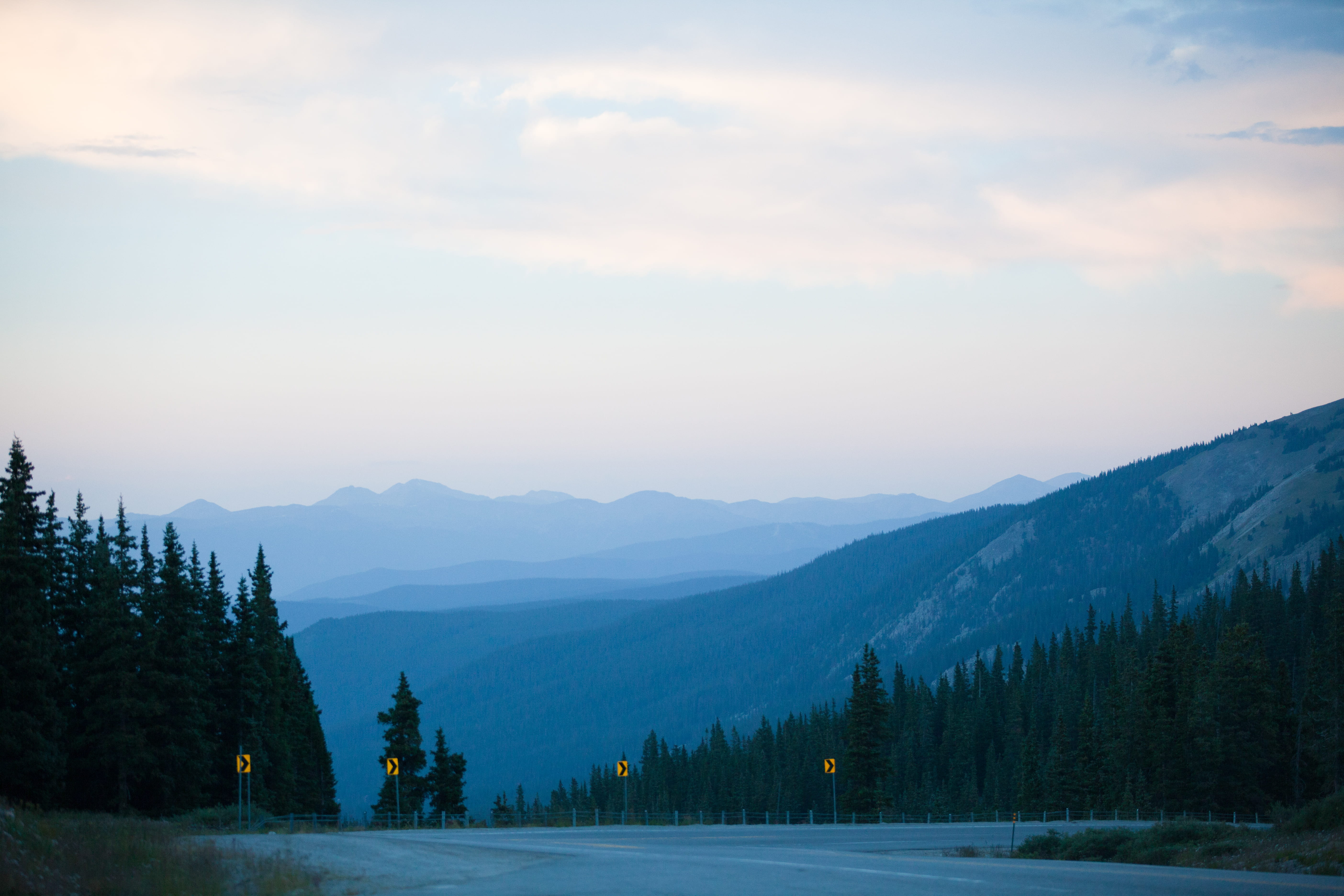 Gray Concrete Road Surrounded by Pine Trees Under Gray Sky, cloud