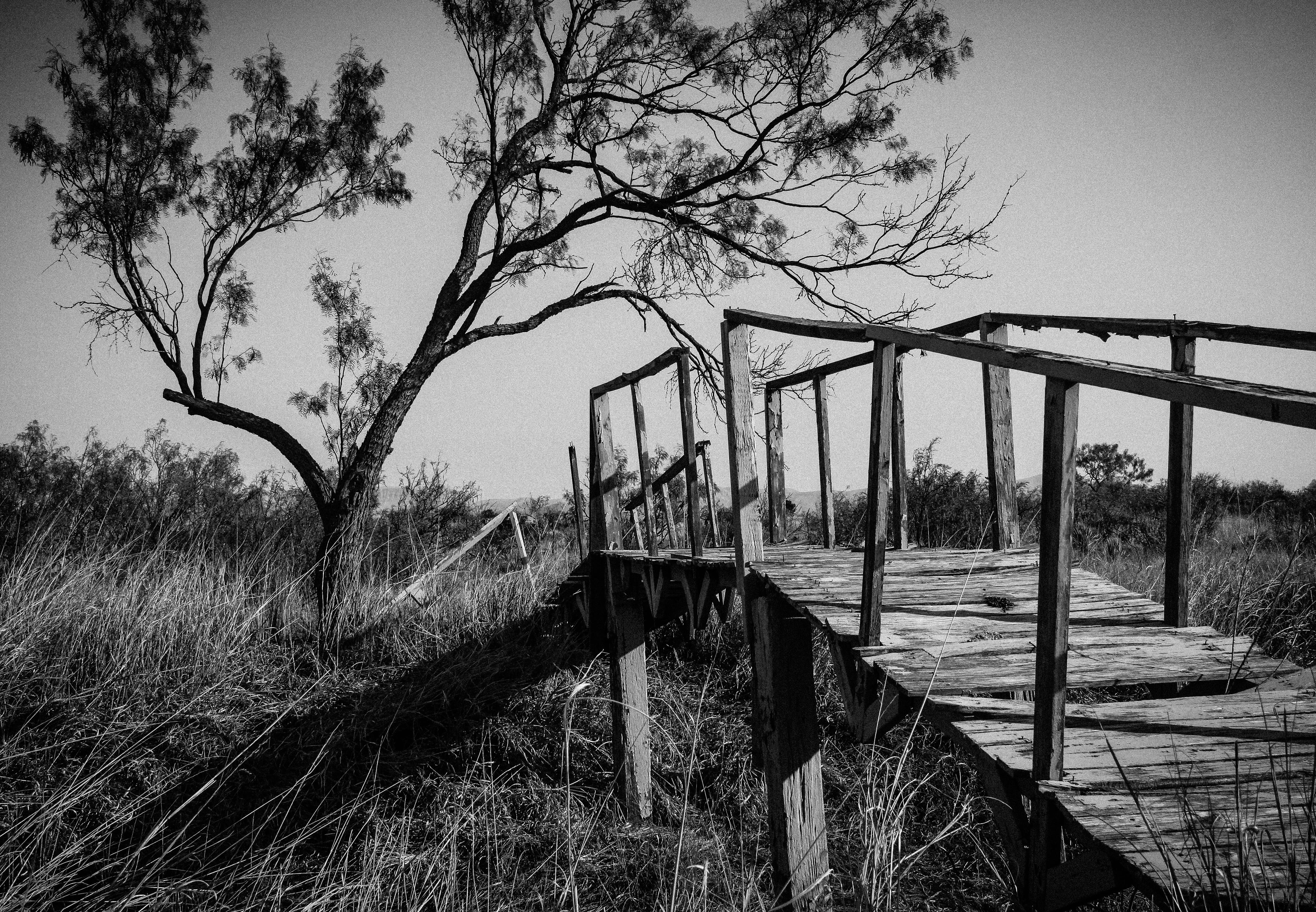Bridge, Rustic, Old, Wooden, Structure, crossing, rural, tree