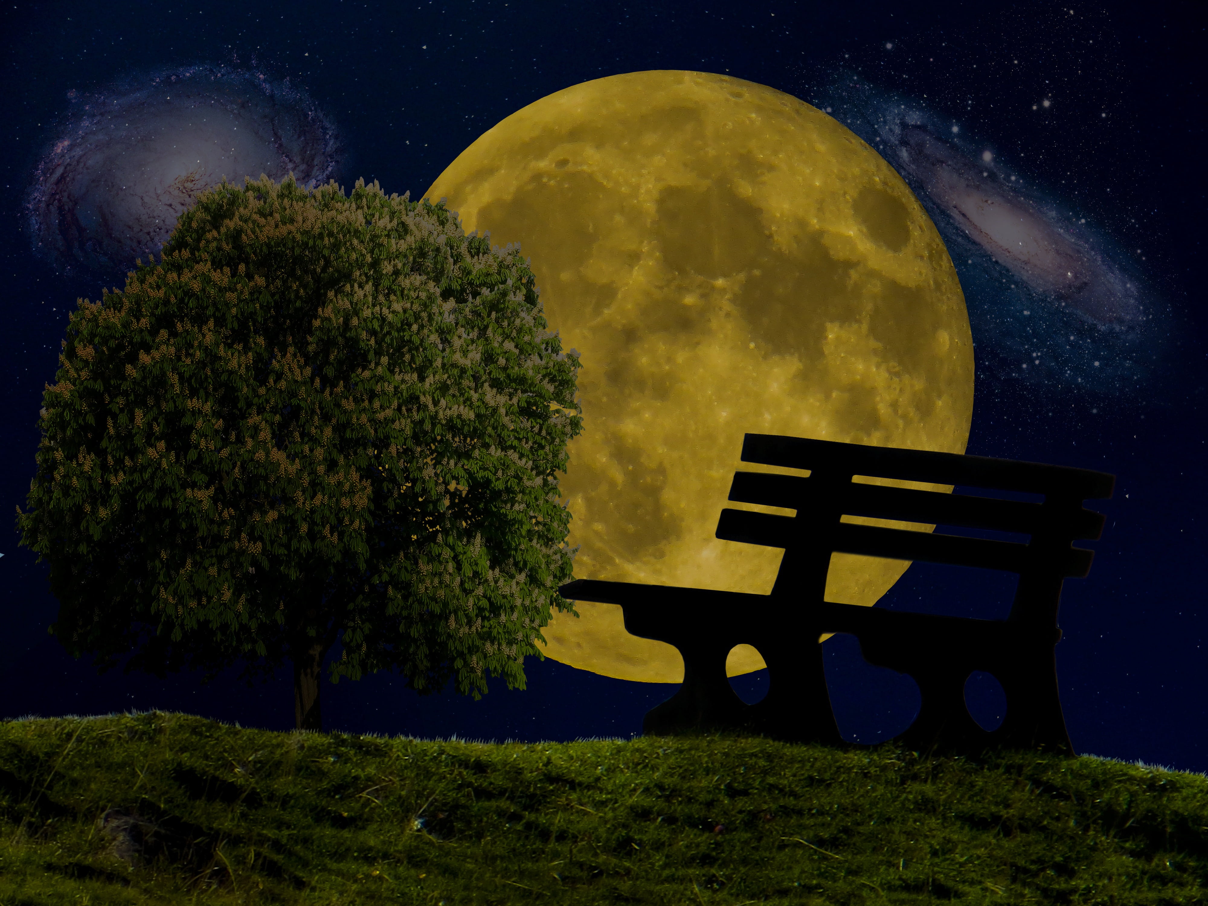 silhouette of bench near tree during nighttime, moon, star, universe