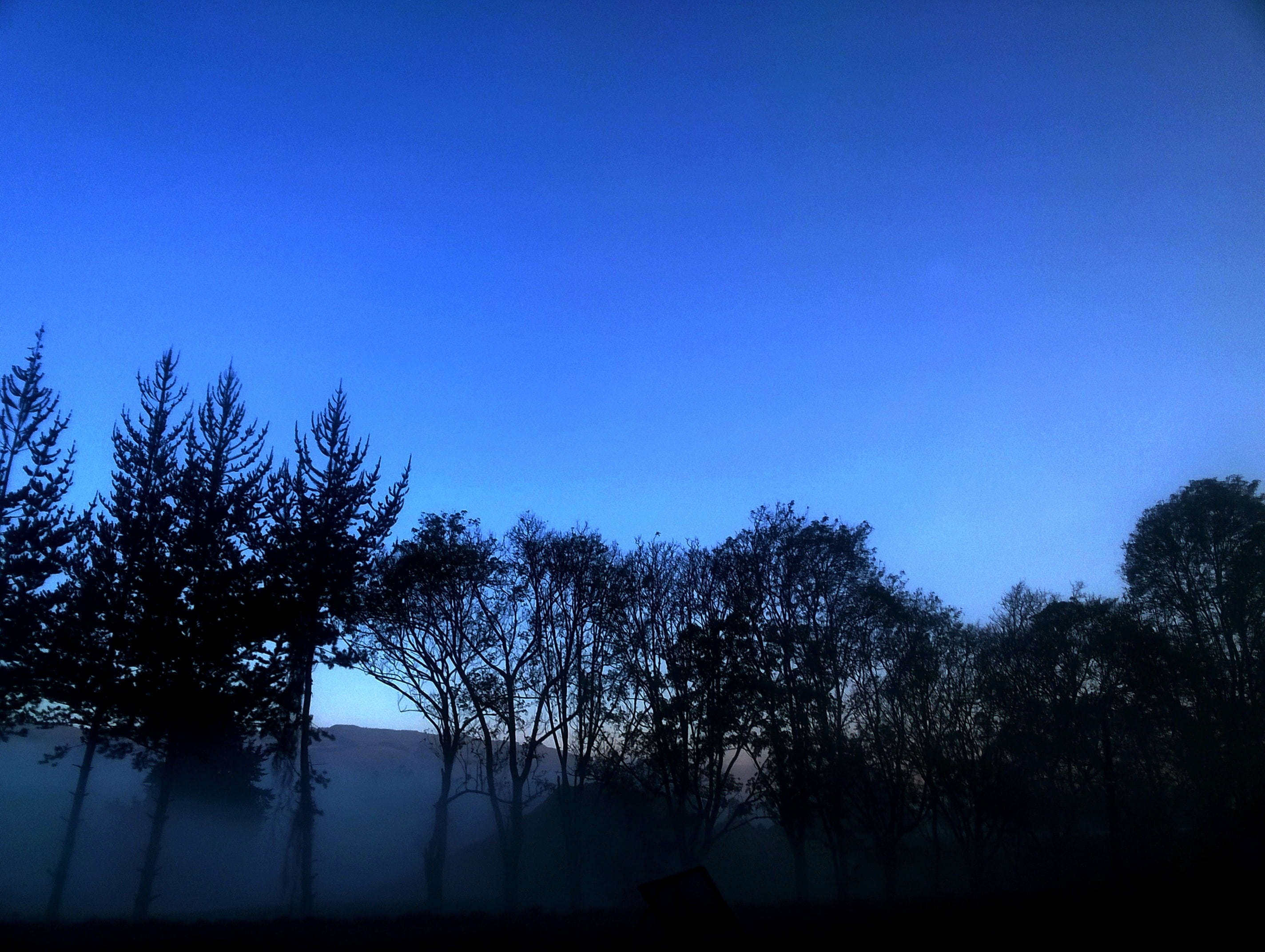 sky, landscape, dawn, tree, plant, silhouette, tranquility