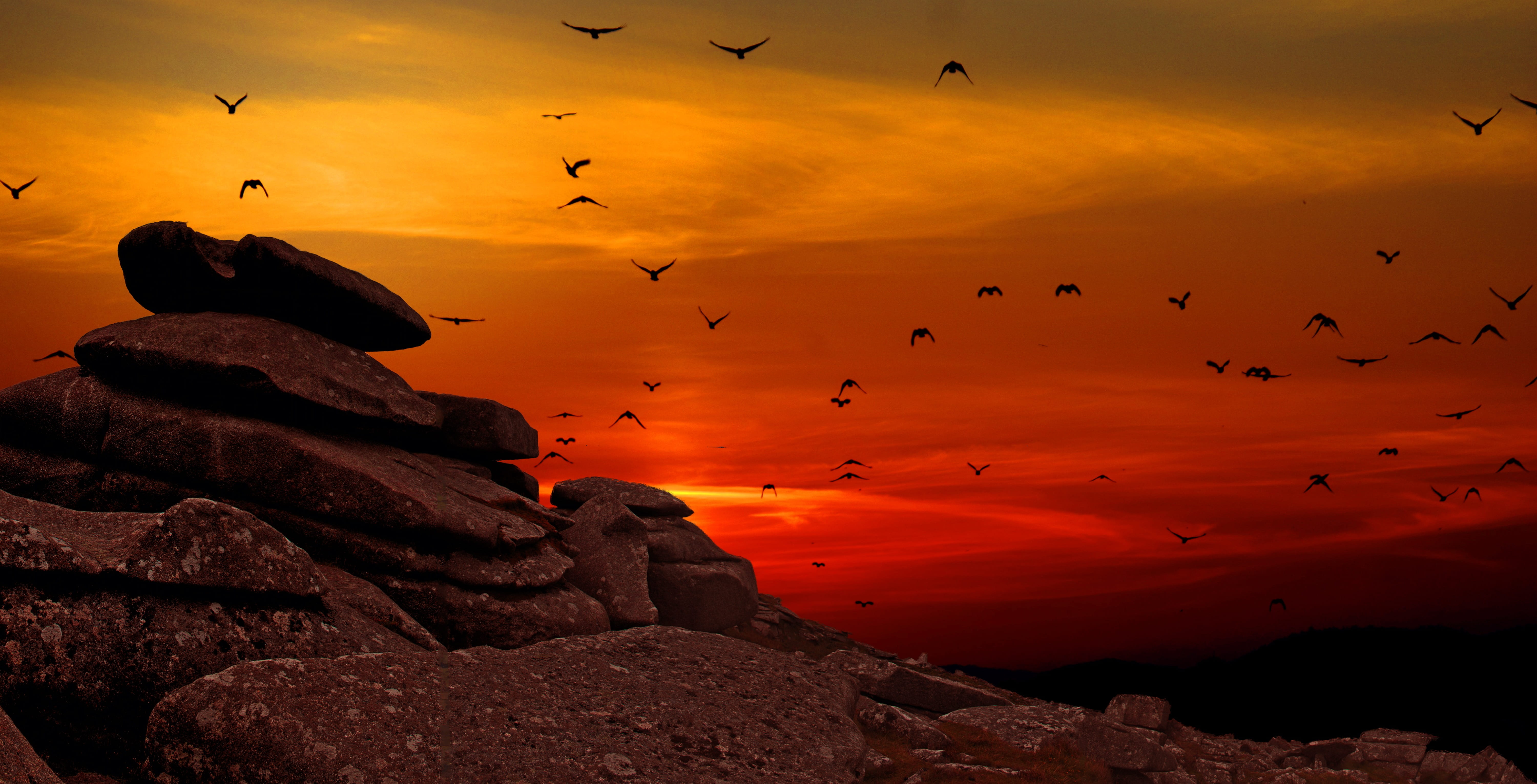 silhouette of flock of birds flying over the mountain during sunset