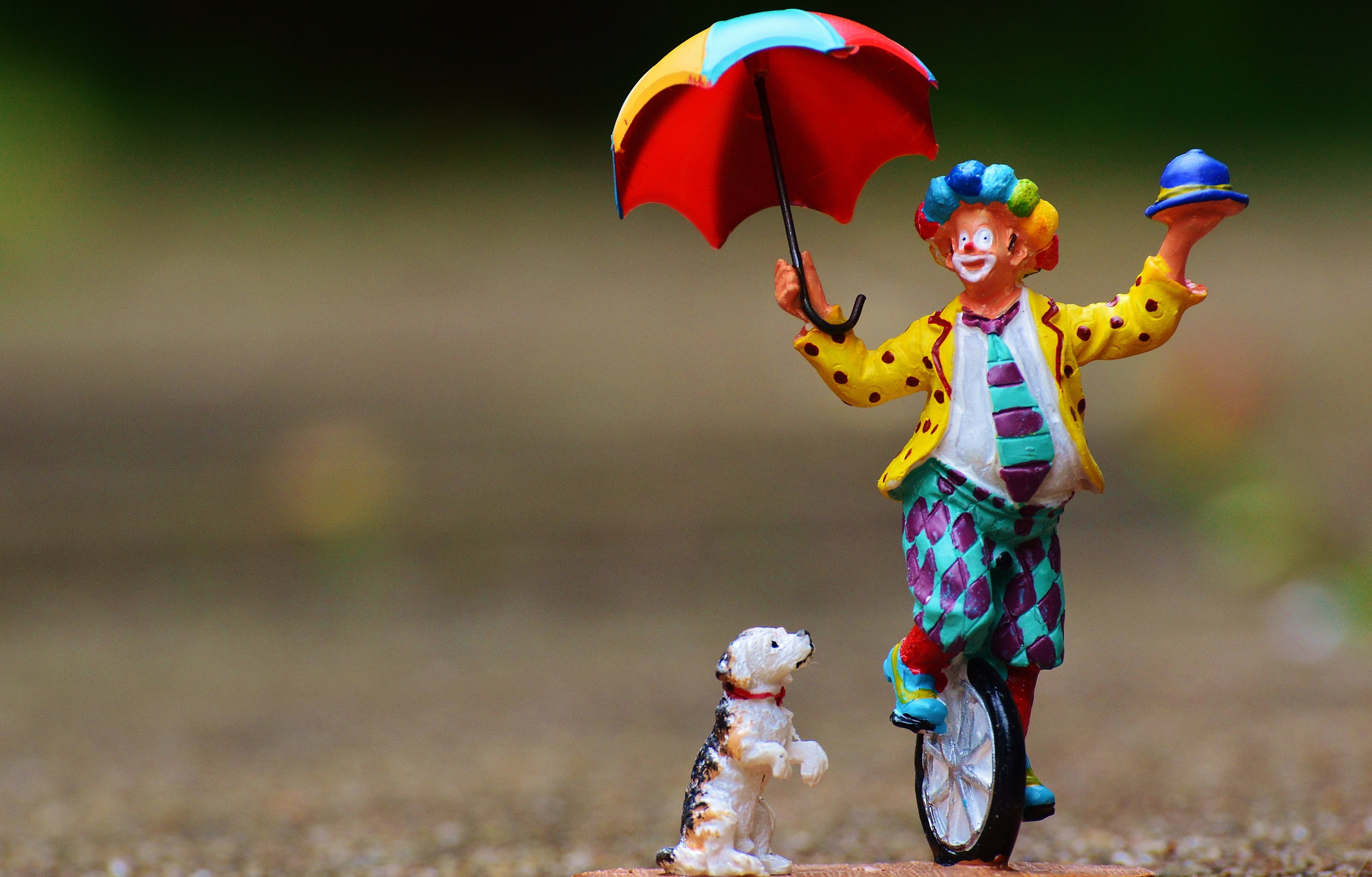 shallow focus photography of clown and dog figurines, funny, unicycle