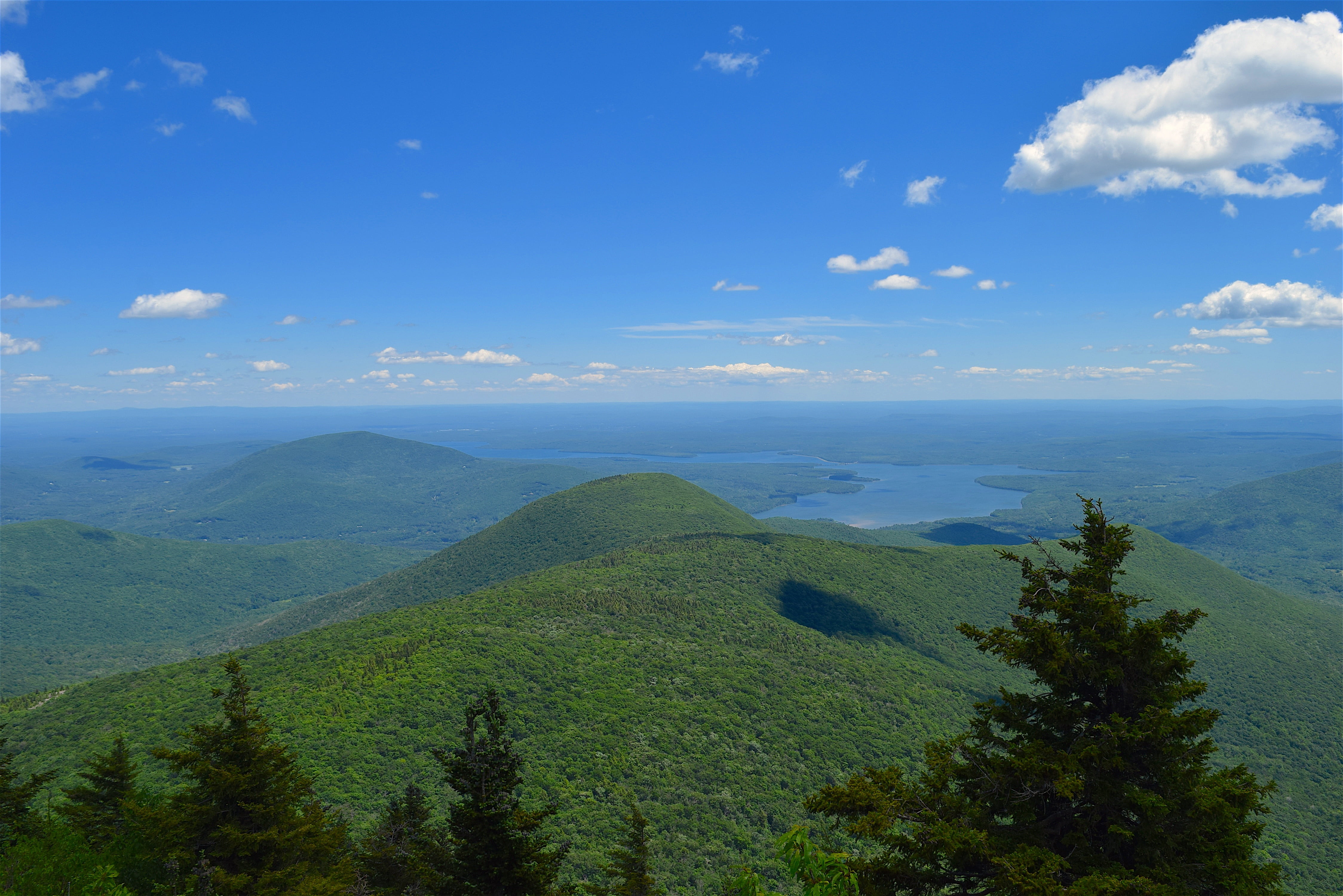 mountainside, clouds, view, trees, pine, landscape, nature