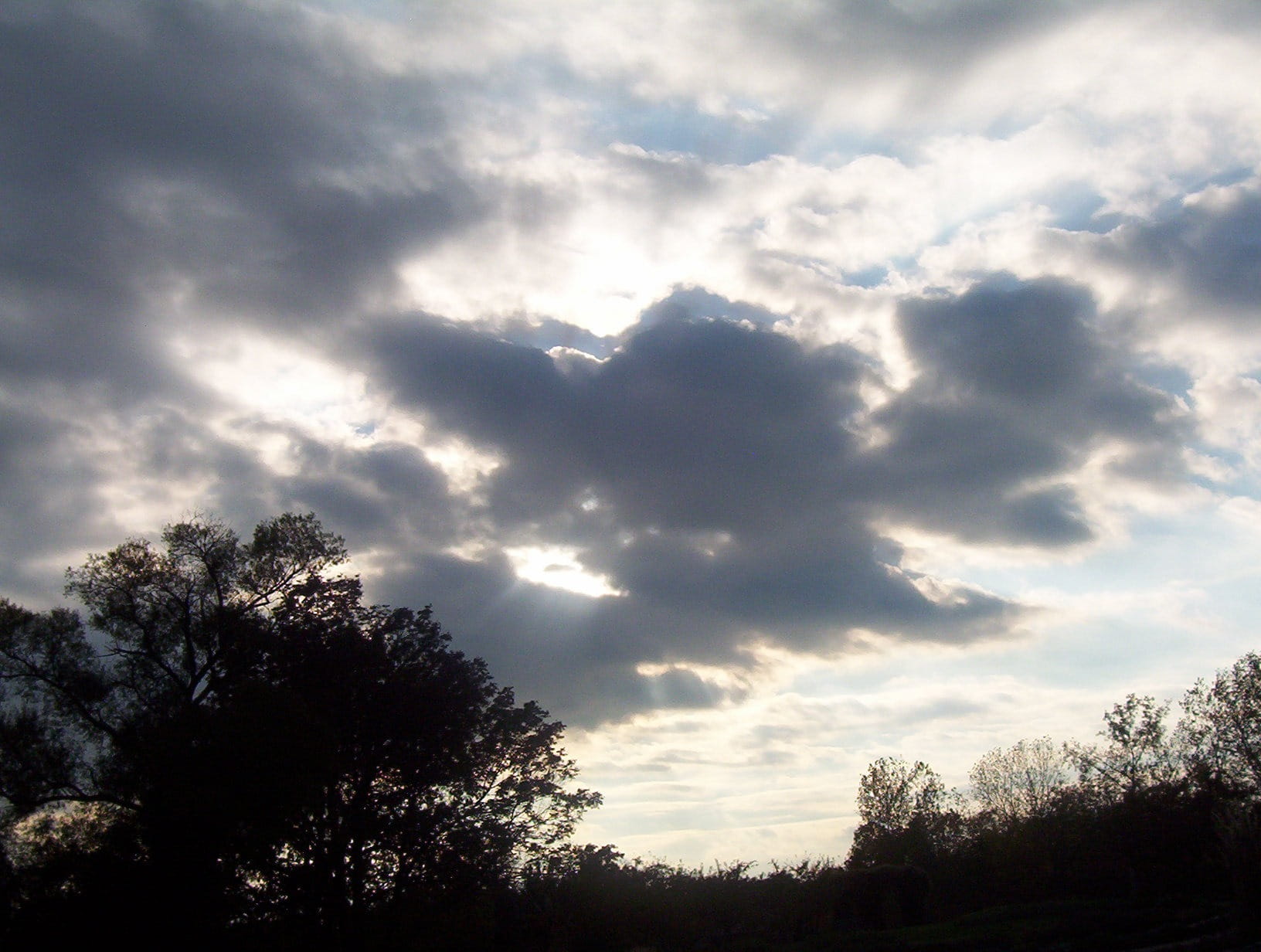 sky, clouds, dark, cloudy, trees, silhouette, black, branches