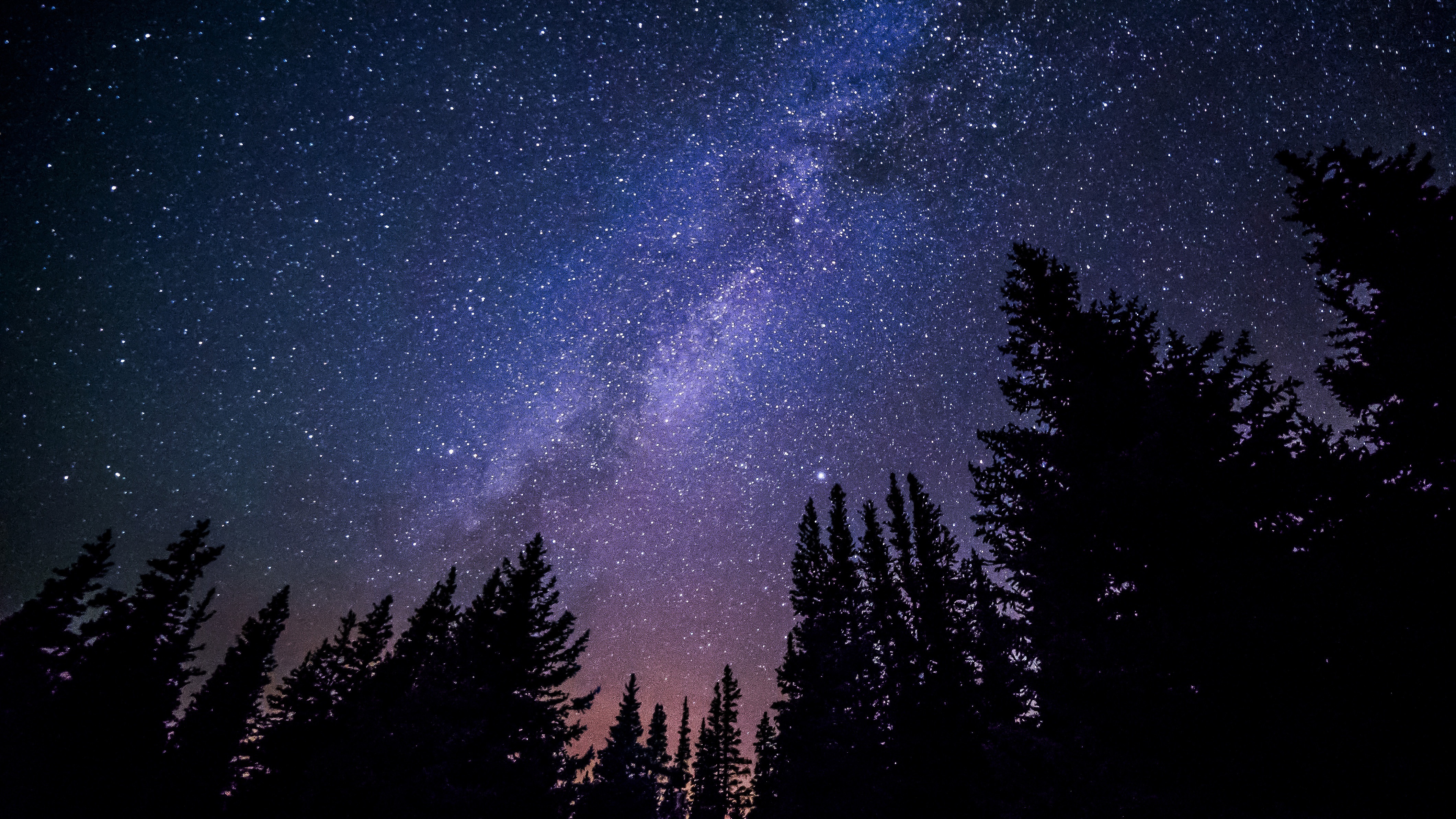 silhouette of trees and aurora borealis sky, milky way, galaxy