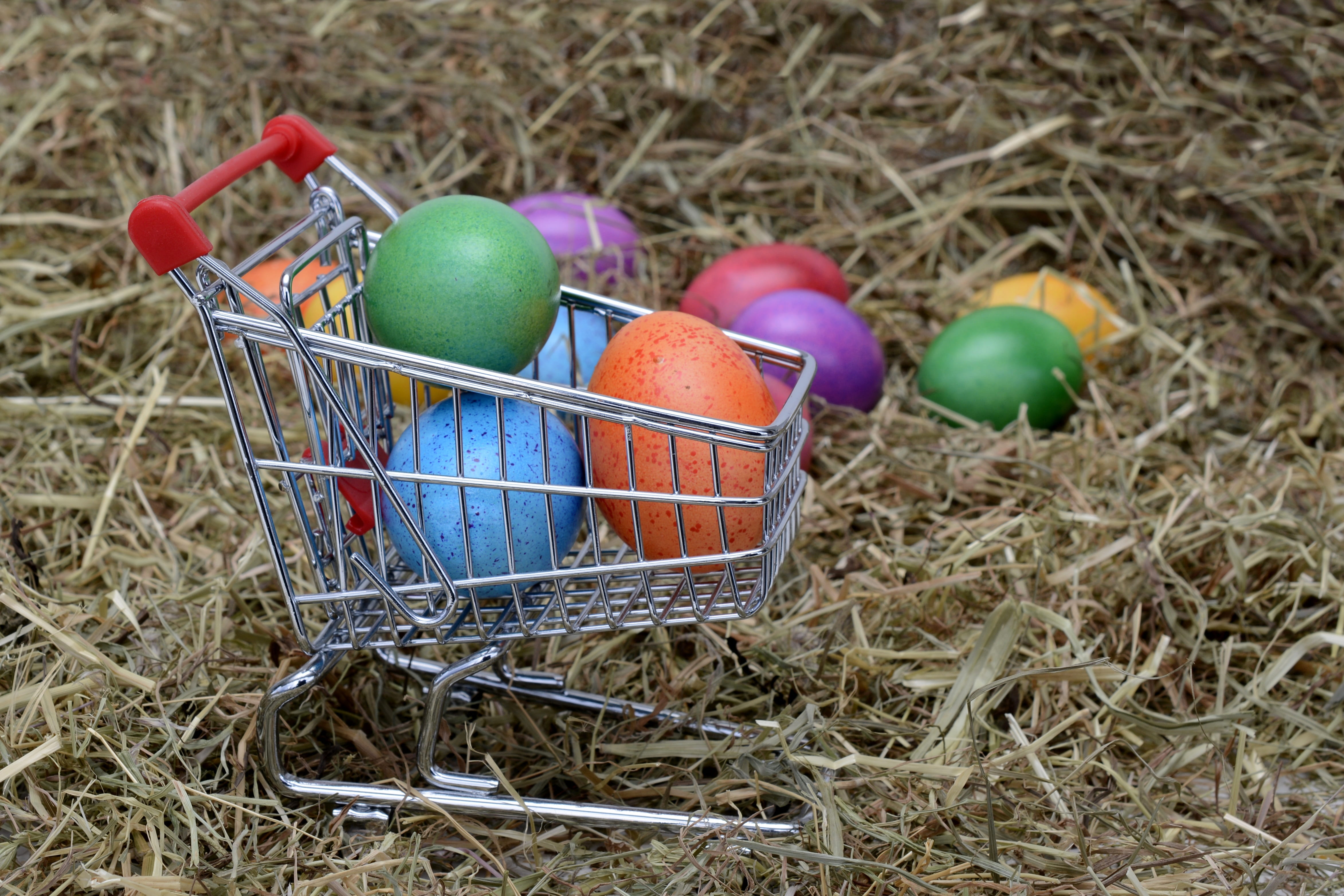 assorted-color Easter eggs, decoration, easter decoration, happy easter