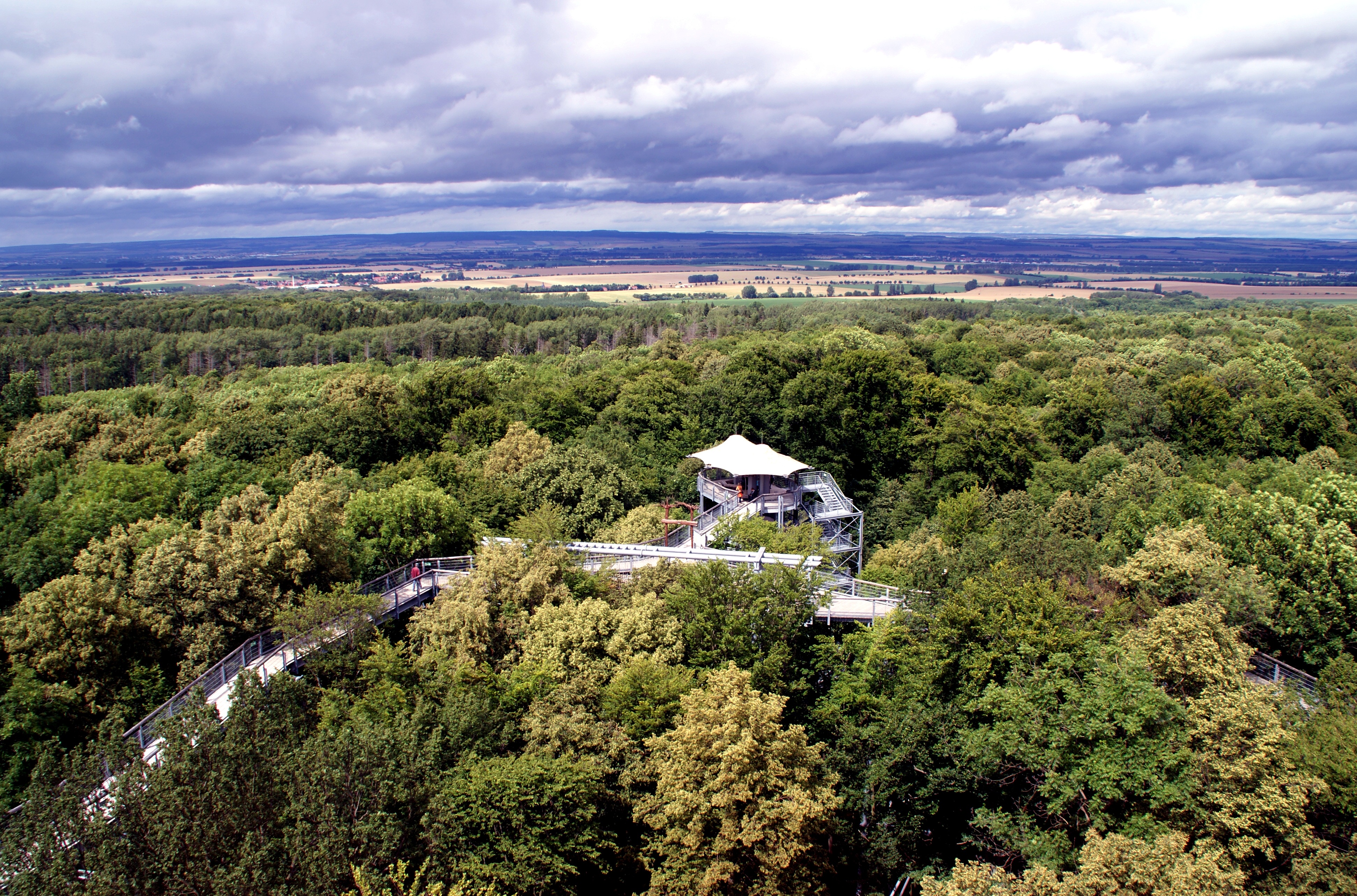 treetop path, thuringia germany, trees, forest, observation tower