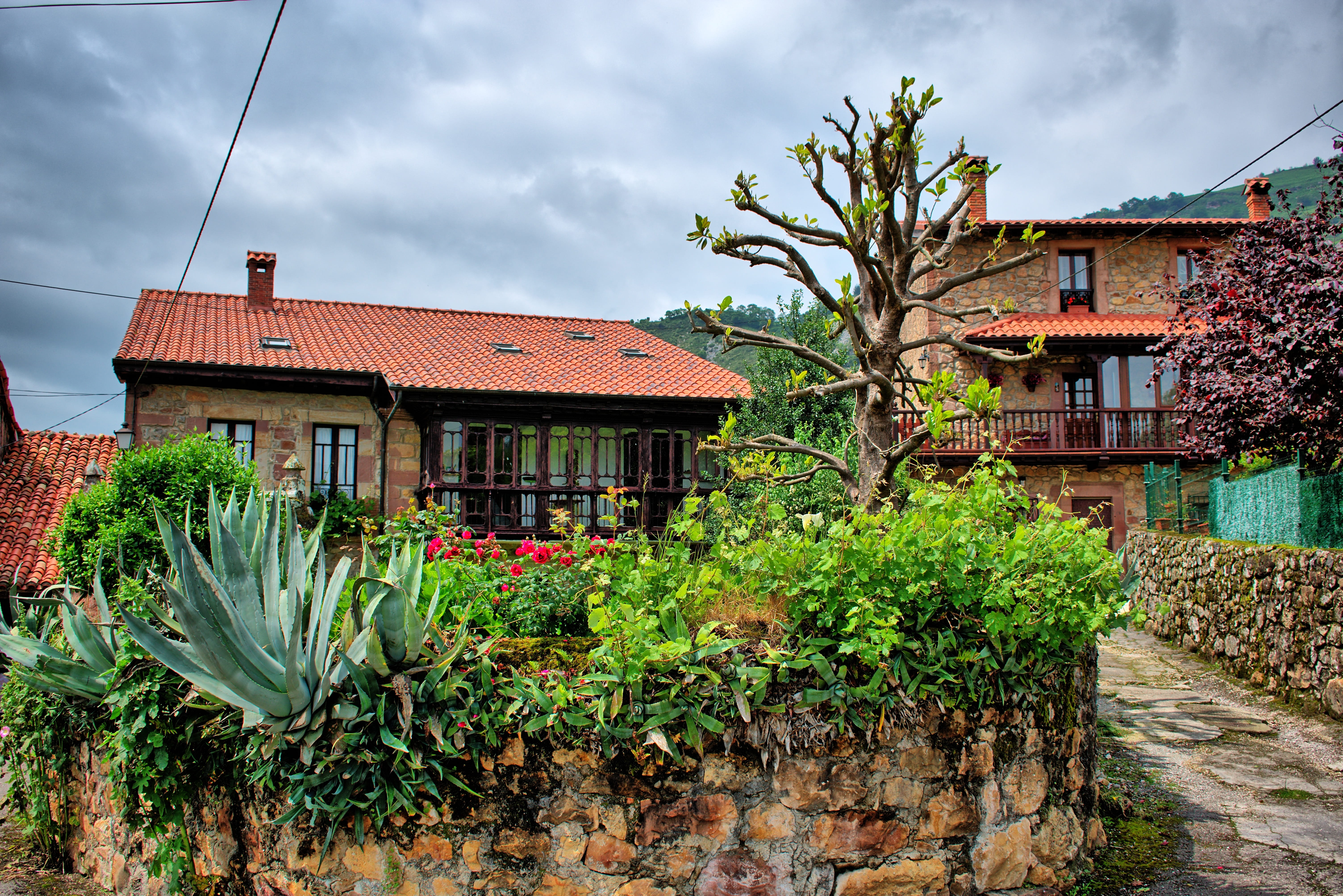 tree, nature, field, rustic, architecture, building exterior