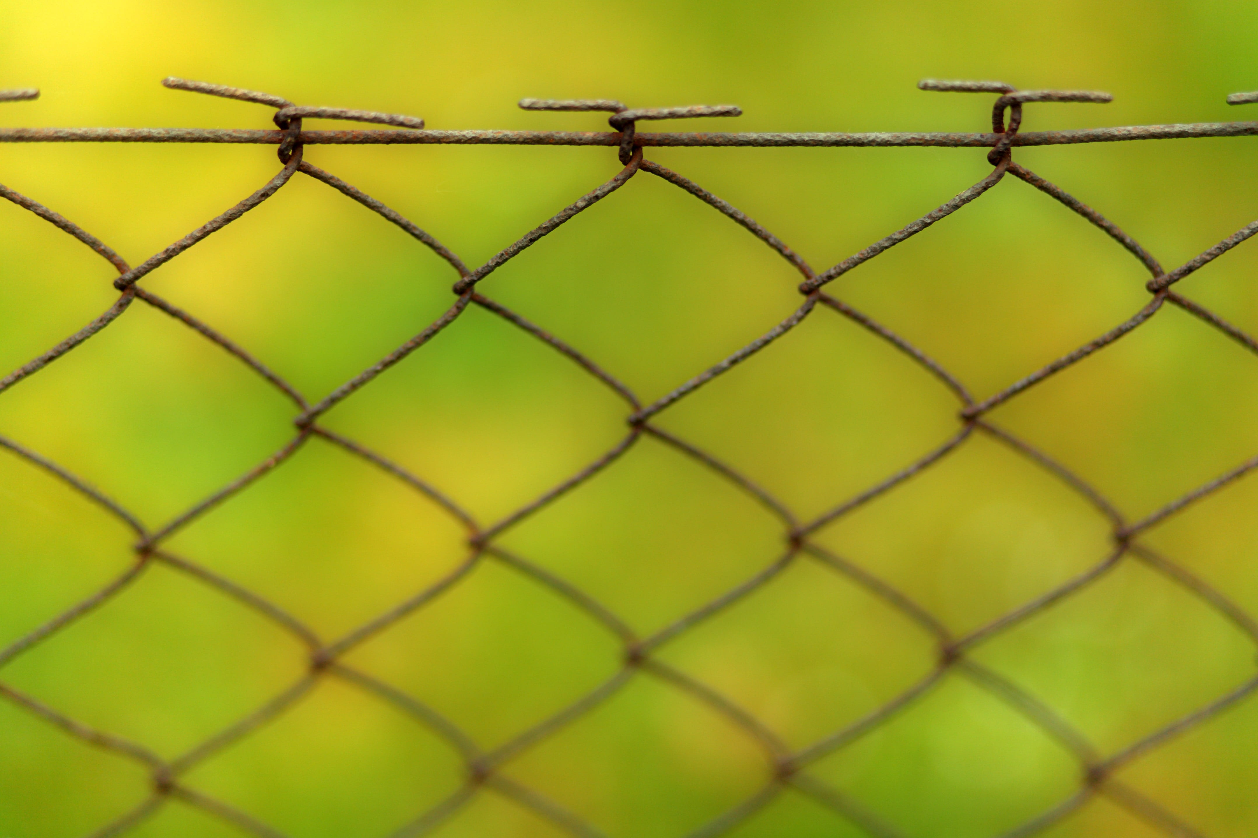 fence, background, wire, network, pattern, barbed wire, texture