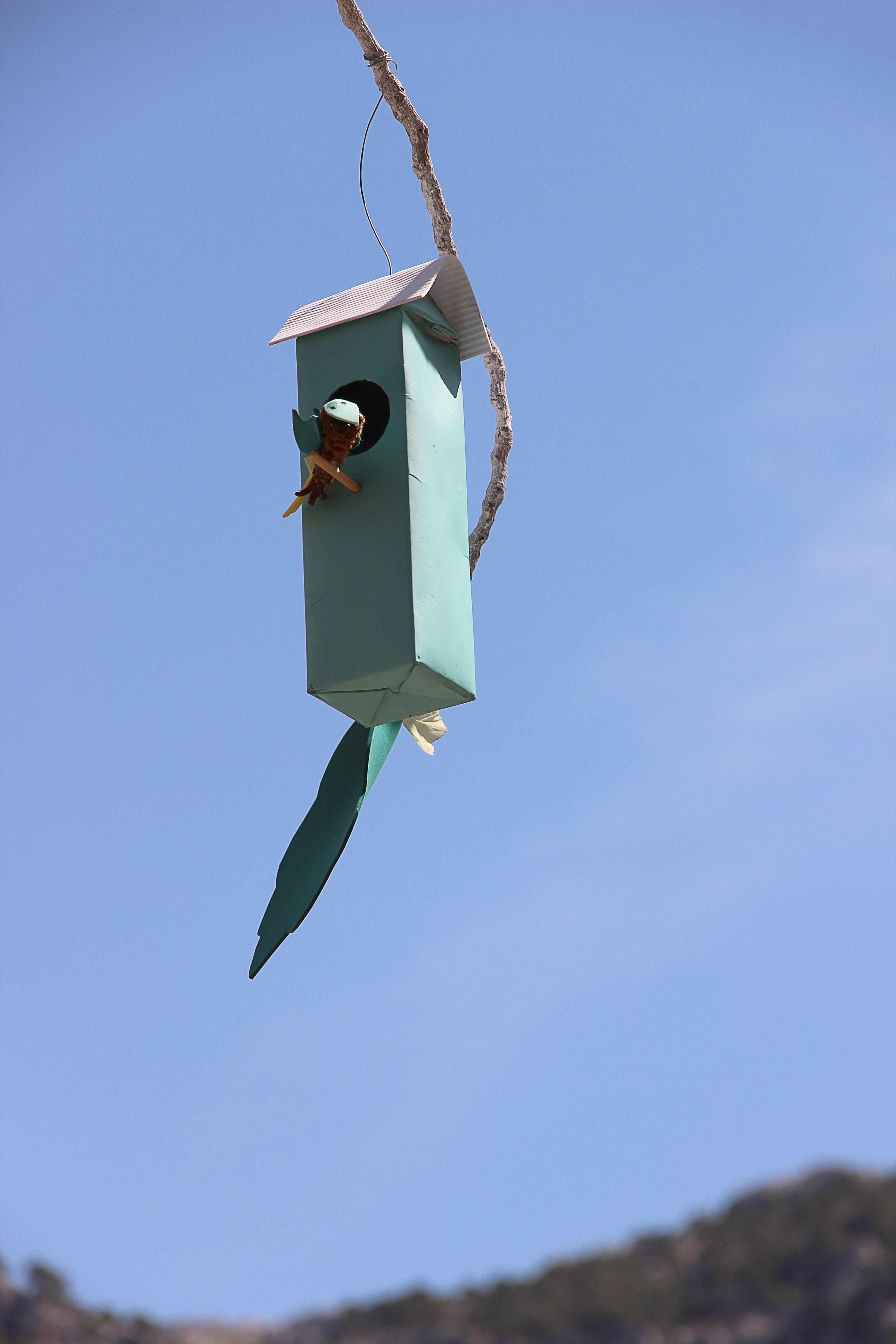 Bird Feeder, Nesting, Box, nesting box, nesting place, nesting help