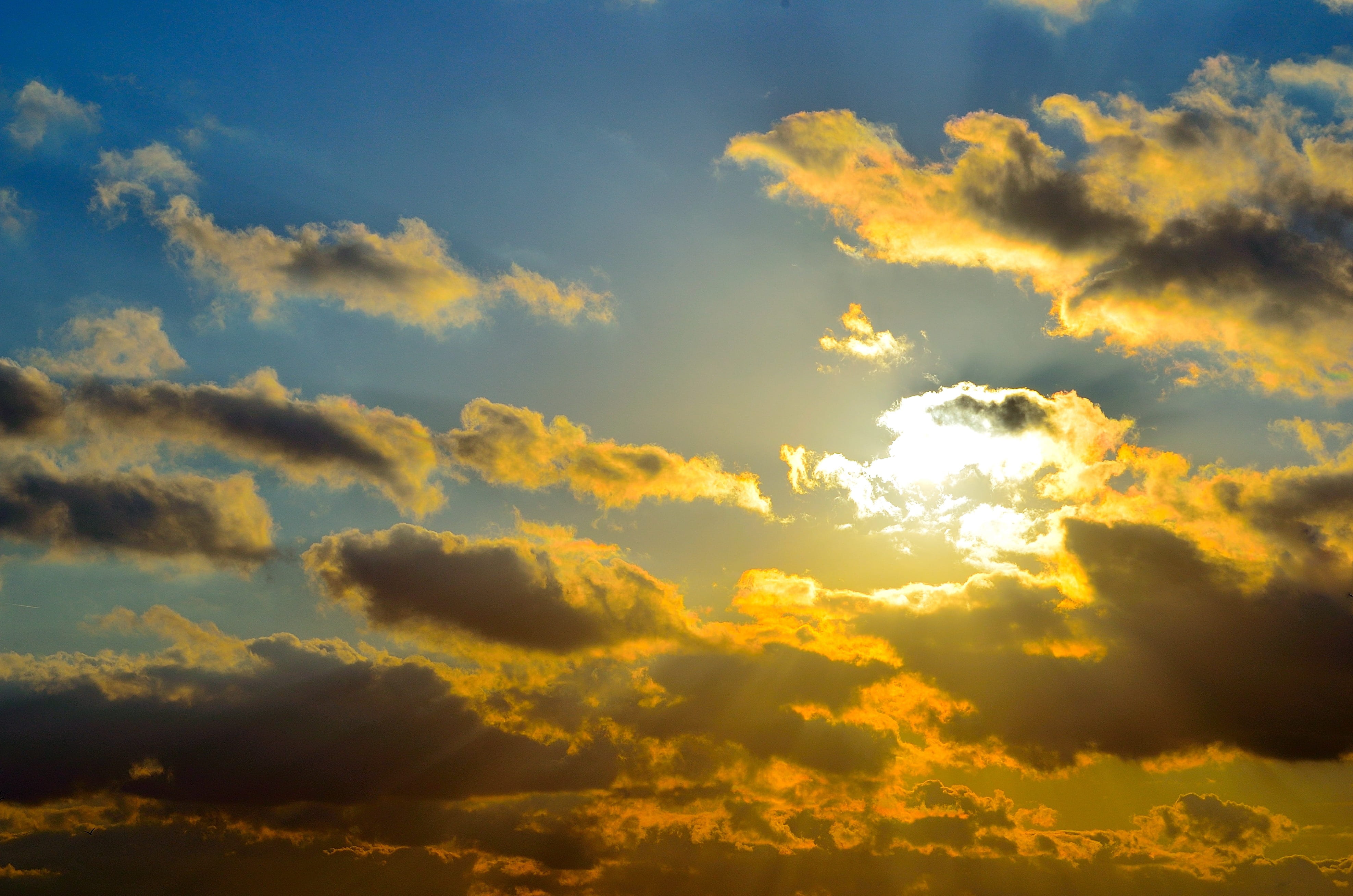 sunset, red, night, evening, sky, blue, background, card, clouds