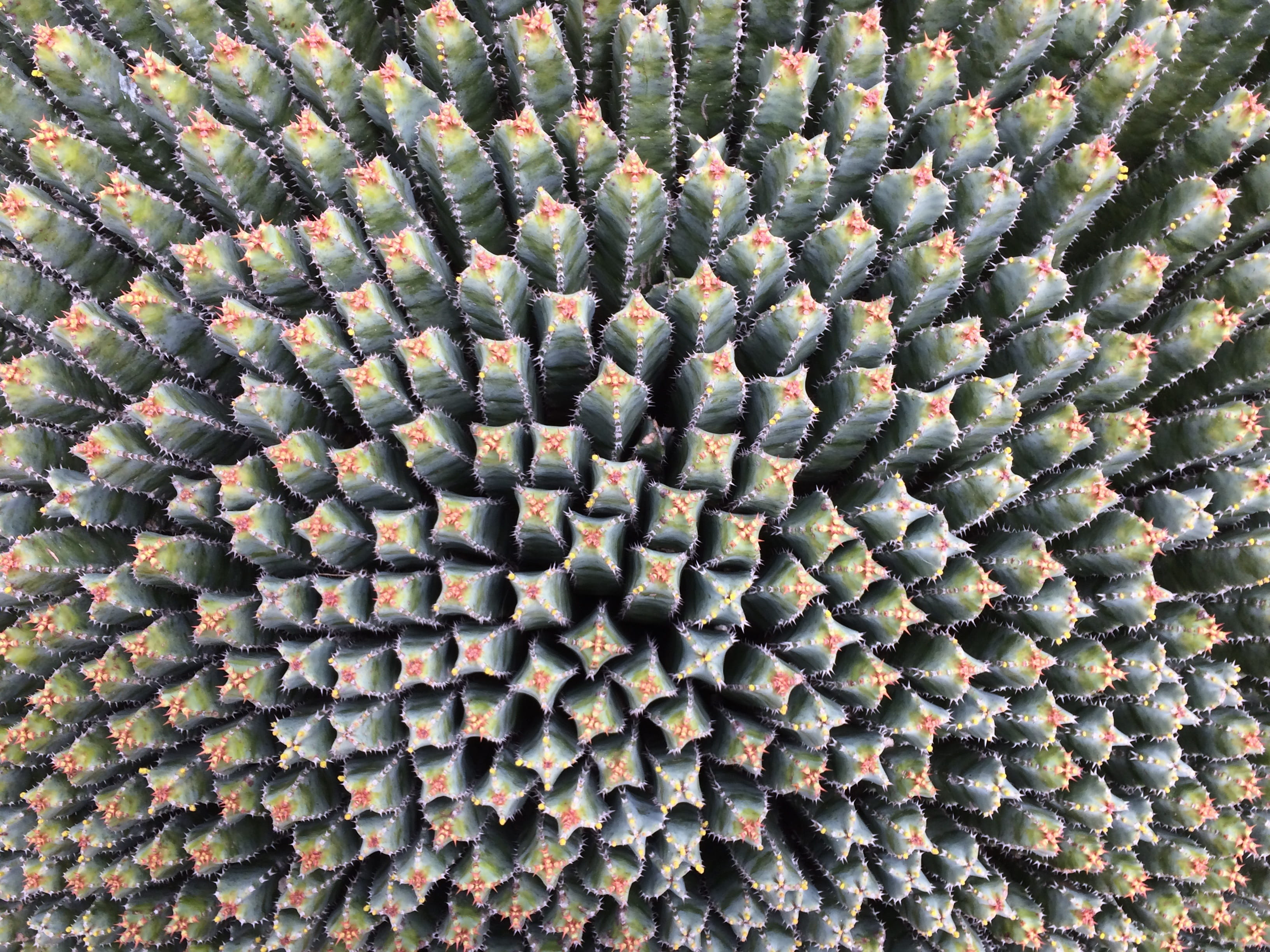 pattern, desktop background, structure, abstract, full frame