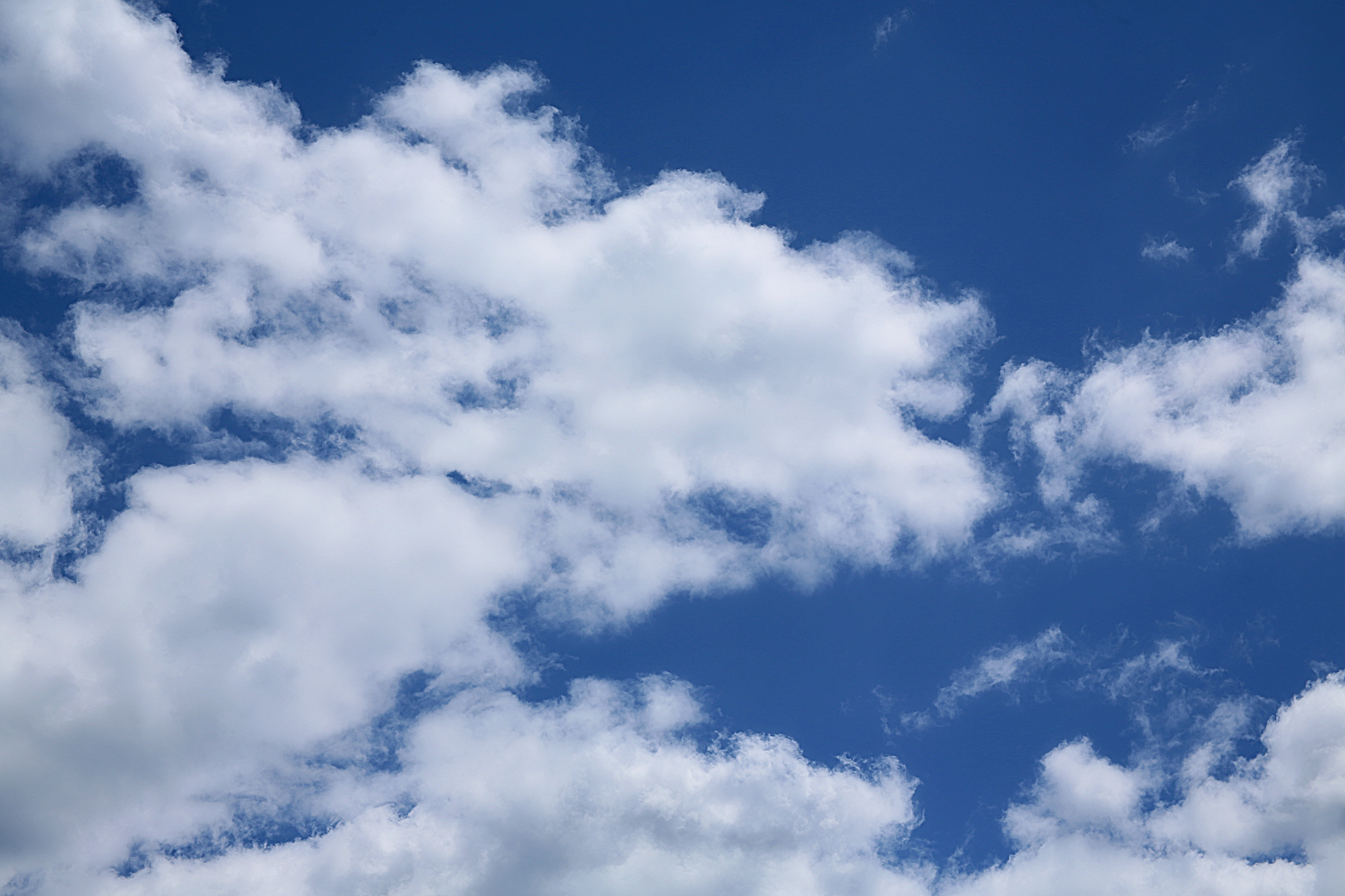 cloud, sky, white cloud, cloudy sky, cloud - sky, blue, white color