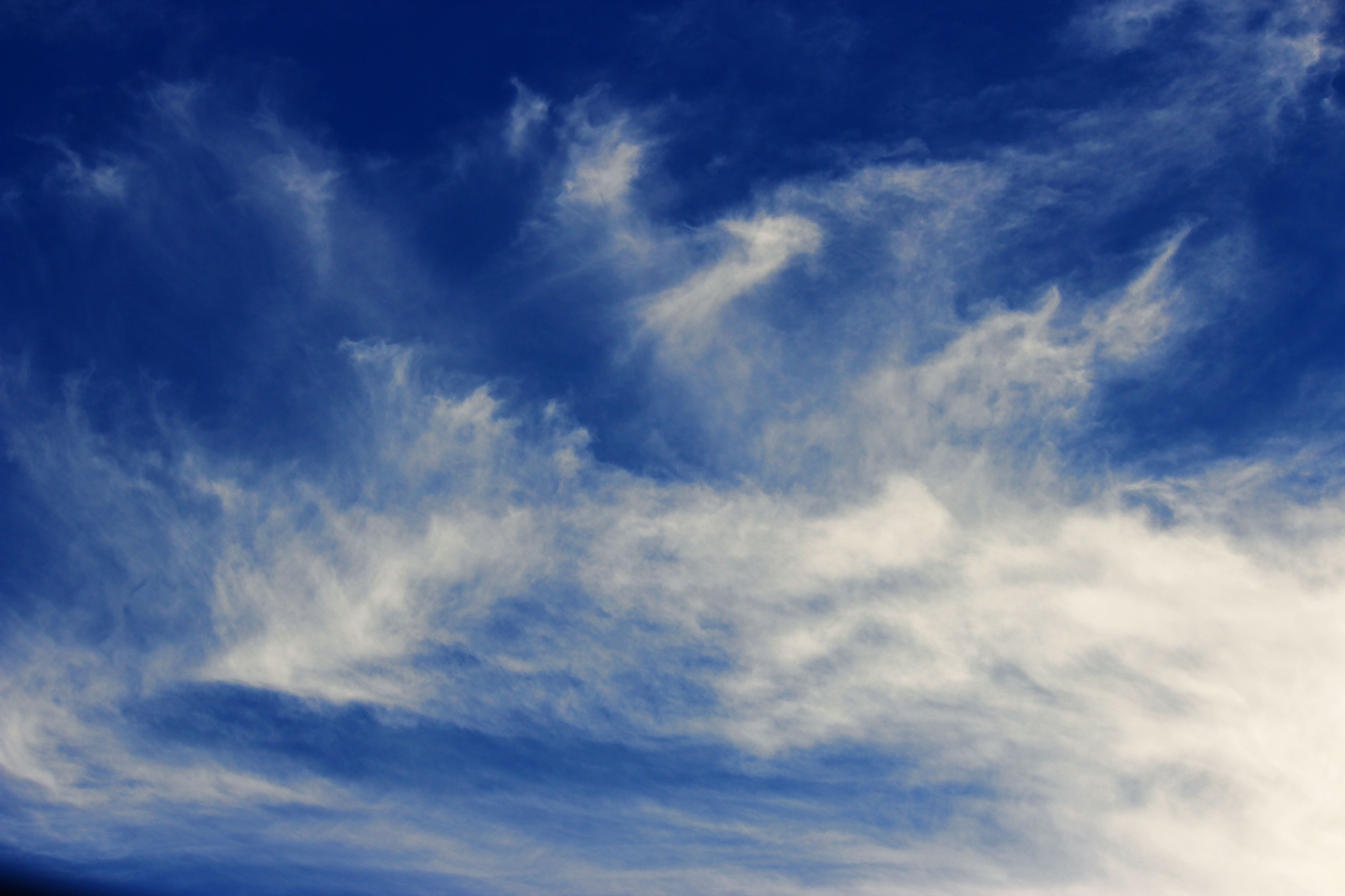 blue sky and white clouds, summer, cloud - sky, cloudscape, dramatic sky