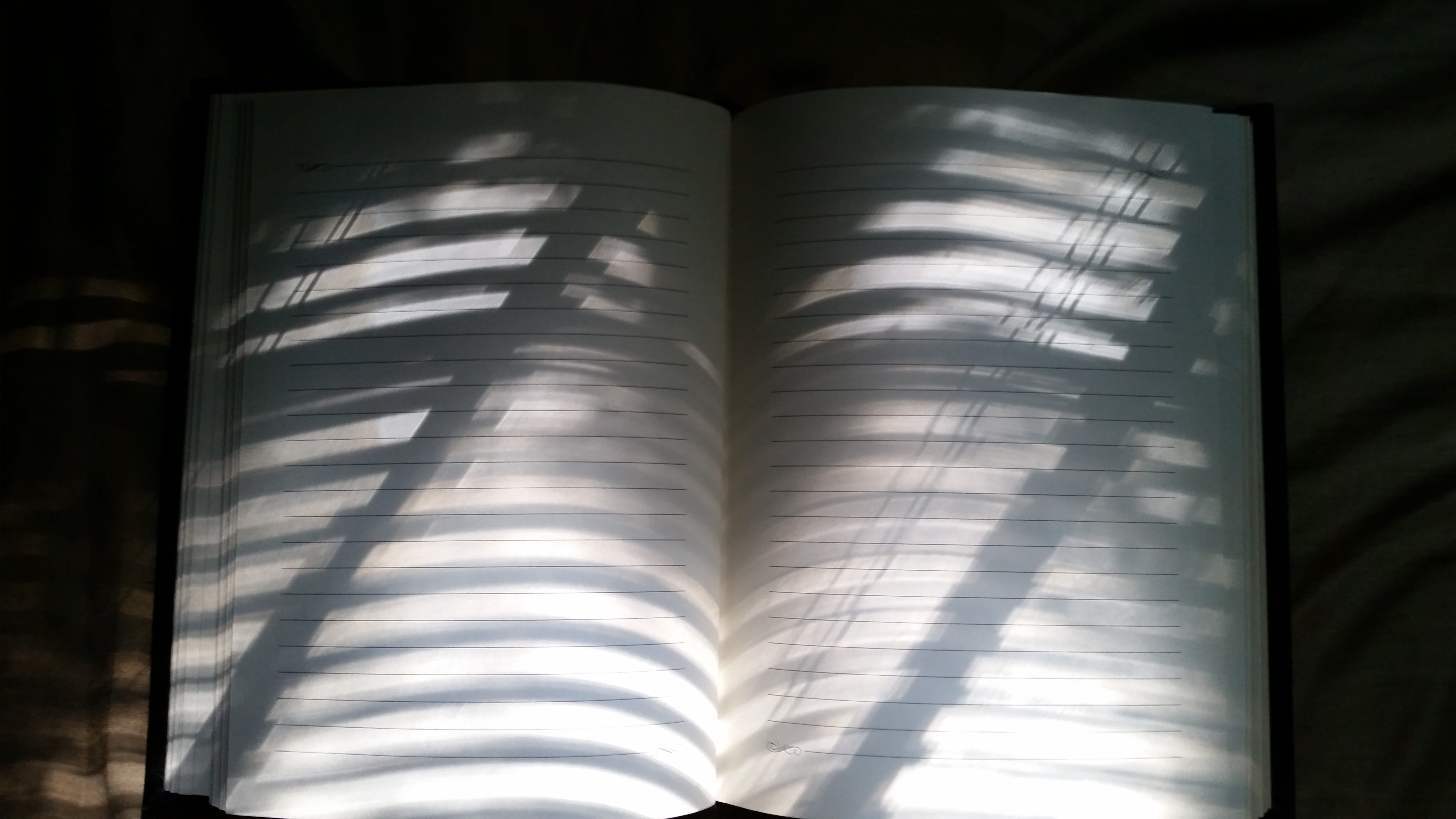 notebook, lined, lines, sunlight, paper, background, shadow