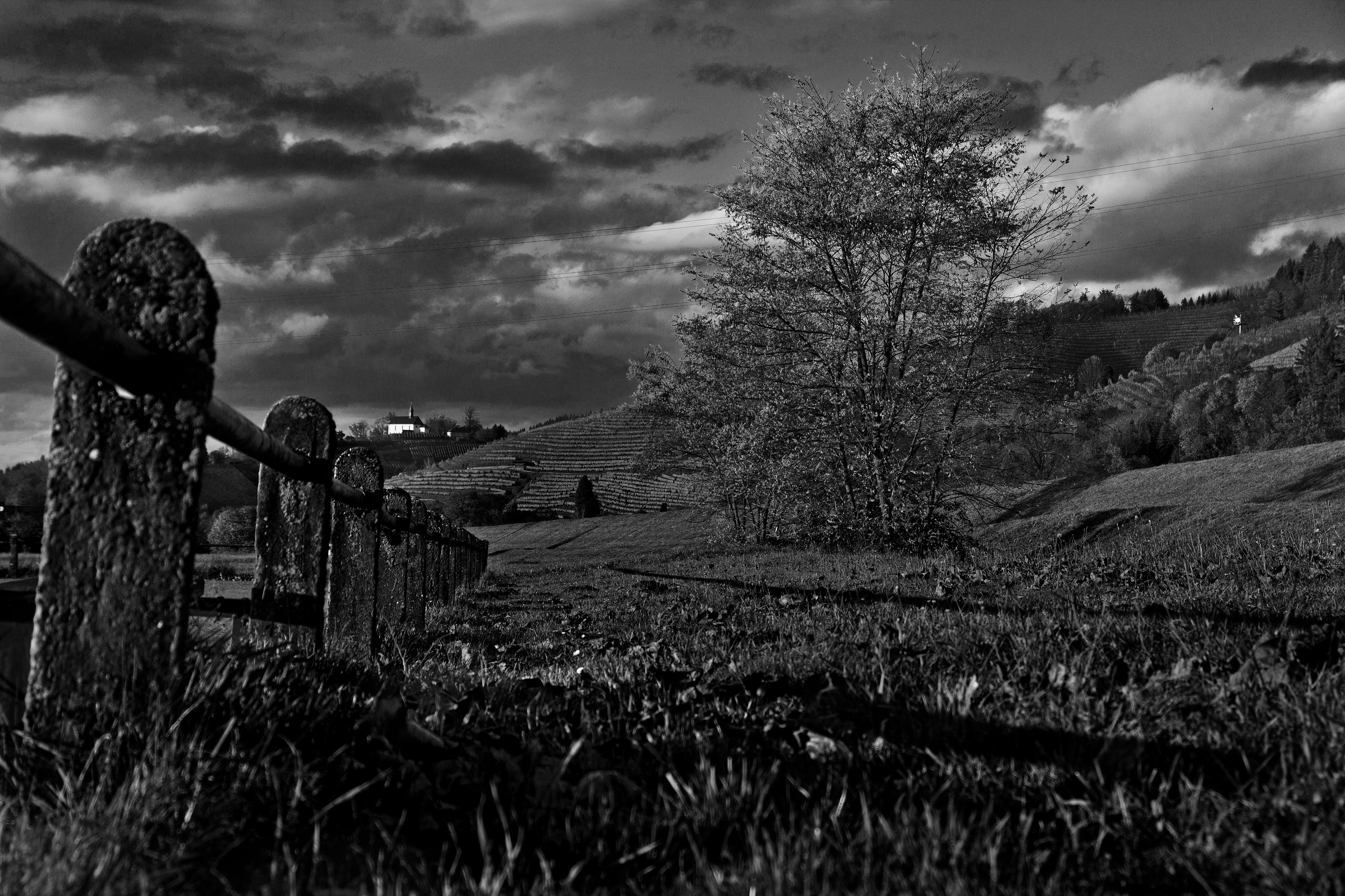 fence, fields, mood, landscape, dramatic, clouds, plant, sky