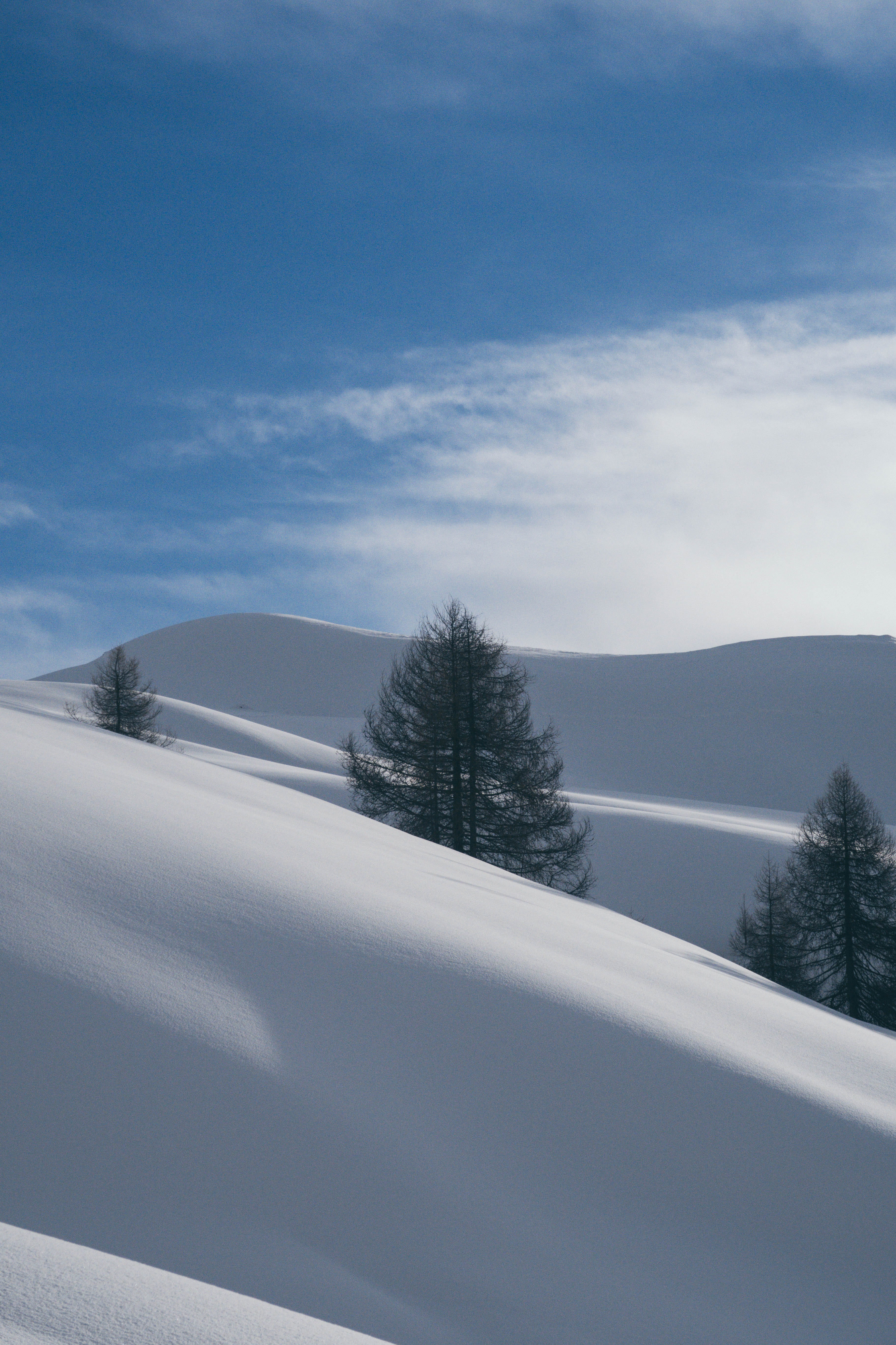 snow-covered field, blue, sky, cloud, winter, tree, cold temperature