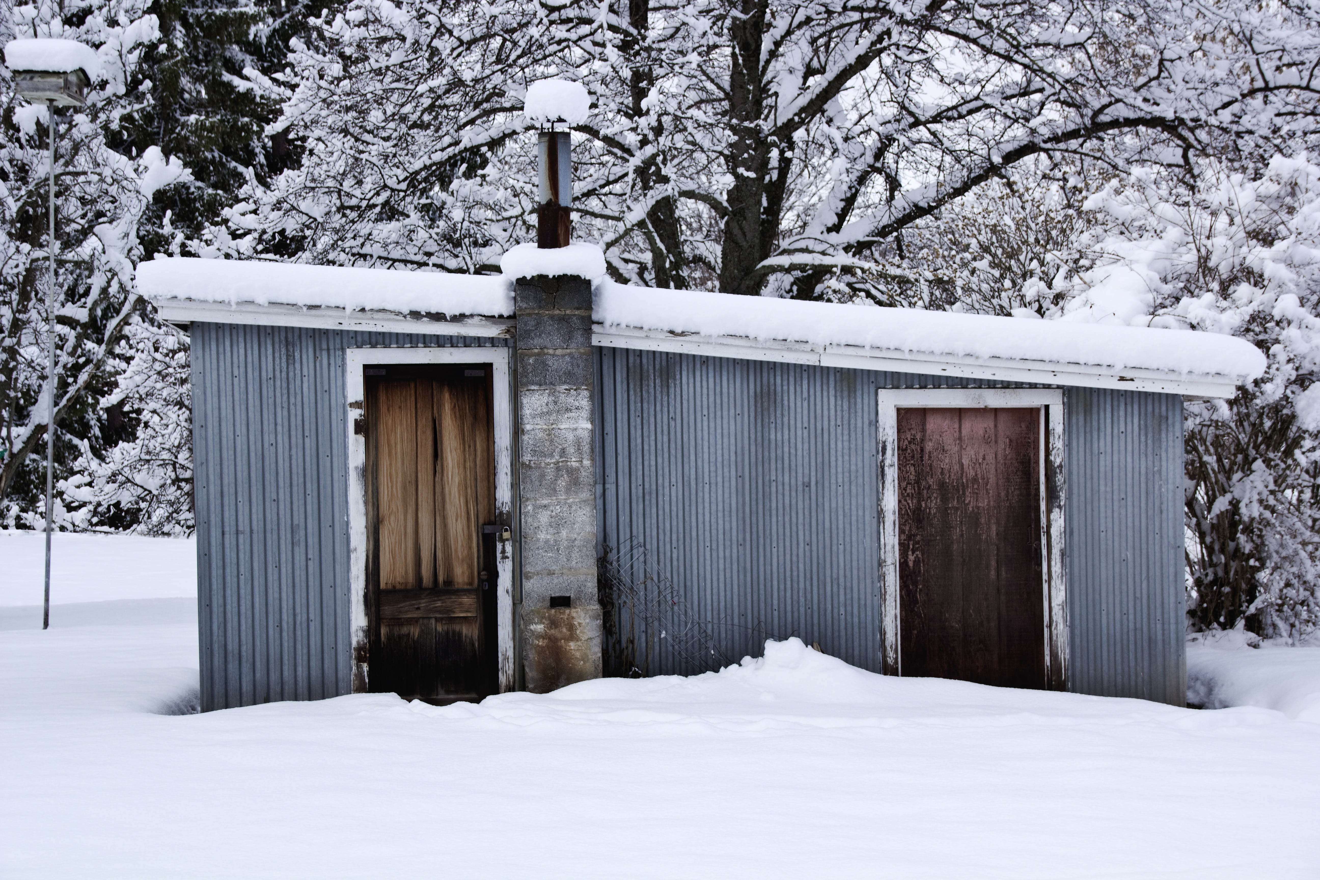 winter, snow, shed, cold temperature, tree, built structure