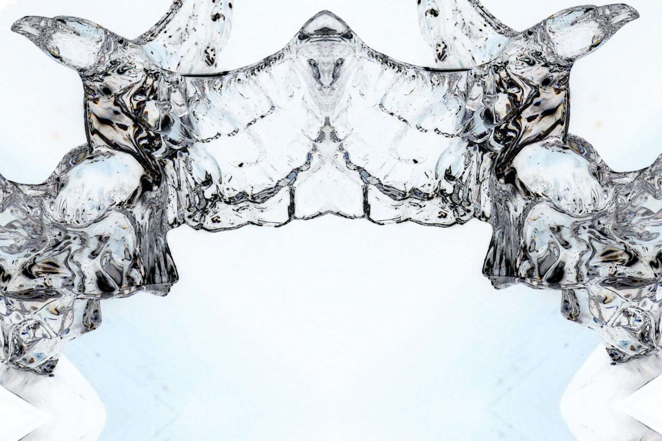 Design, Hidden Faces, Pattern, Bird, shape, abstract, water