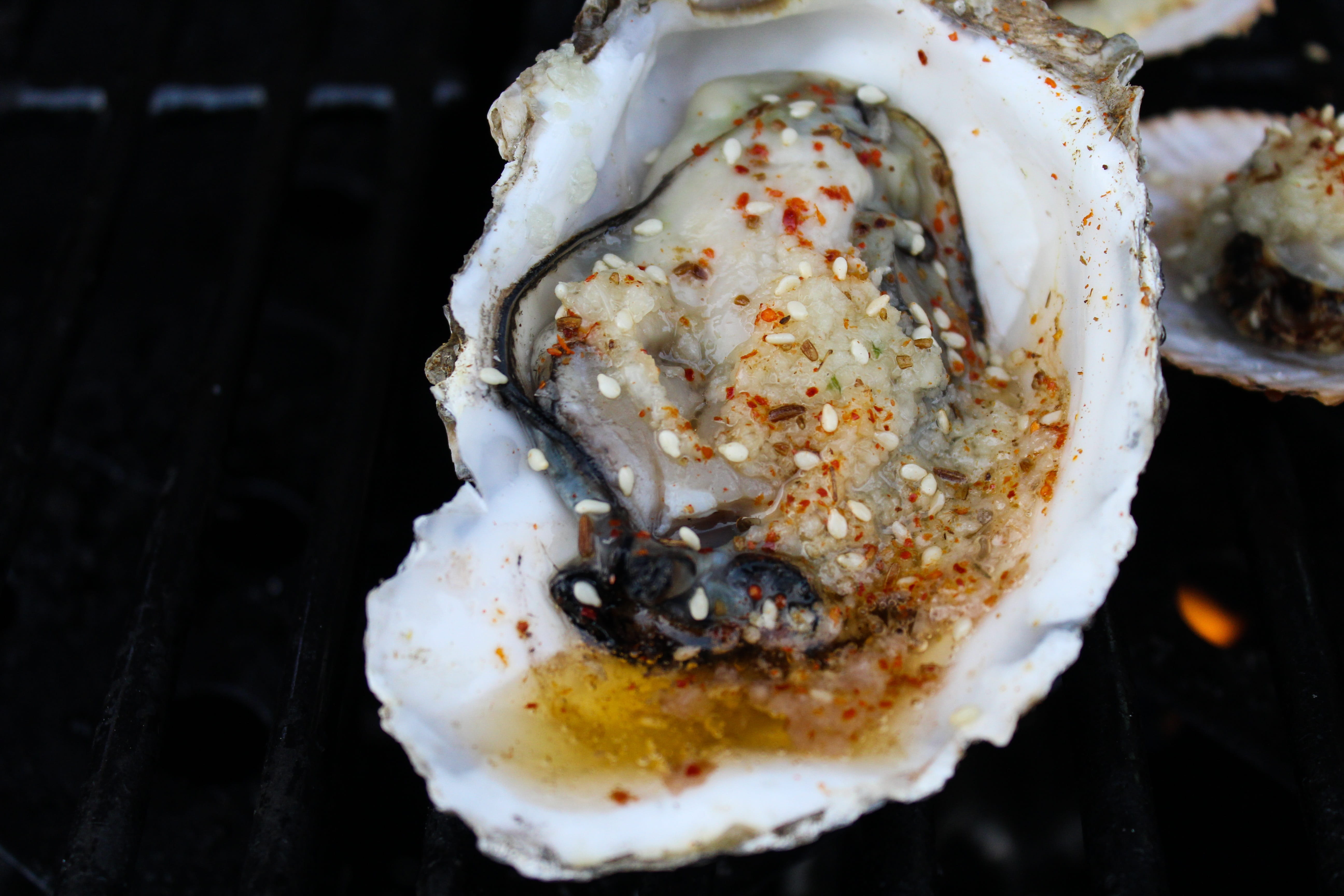 gourmet, barbecue, oysters, grilled oysters, garlic oysters
