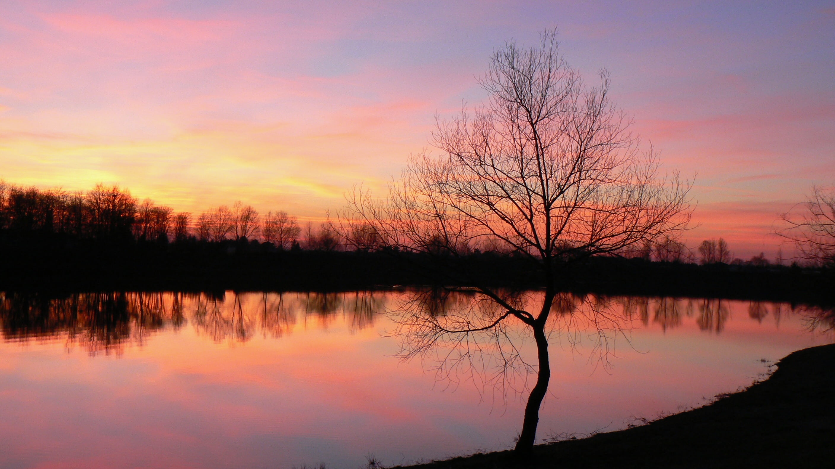 sunset, lake, tree, reflection, peaceful, sky, water, tranquility
