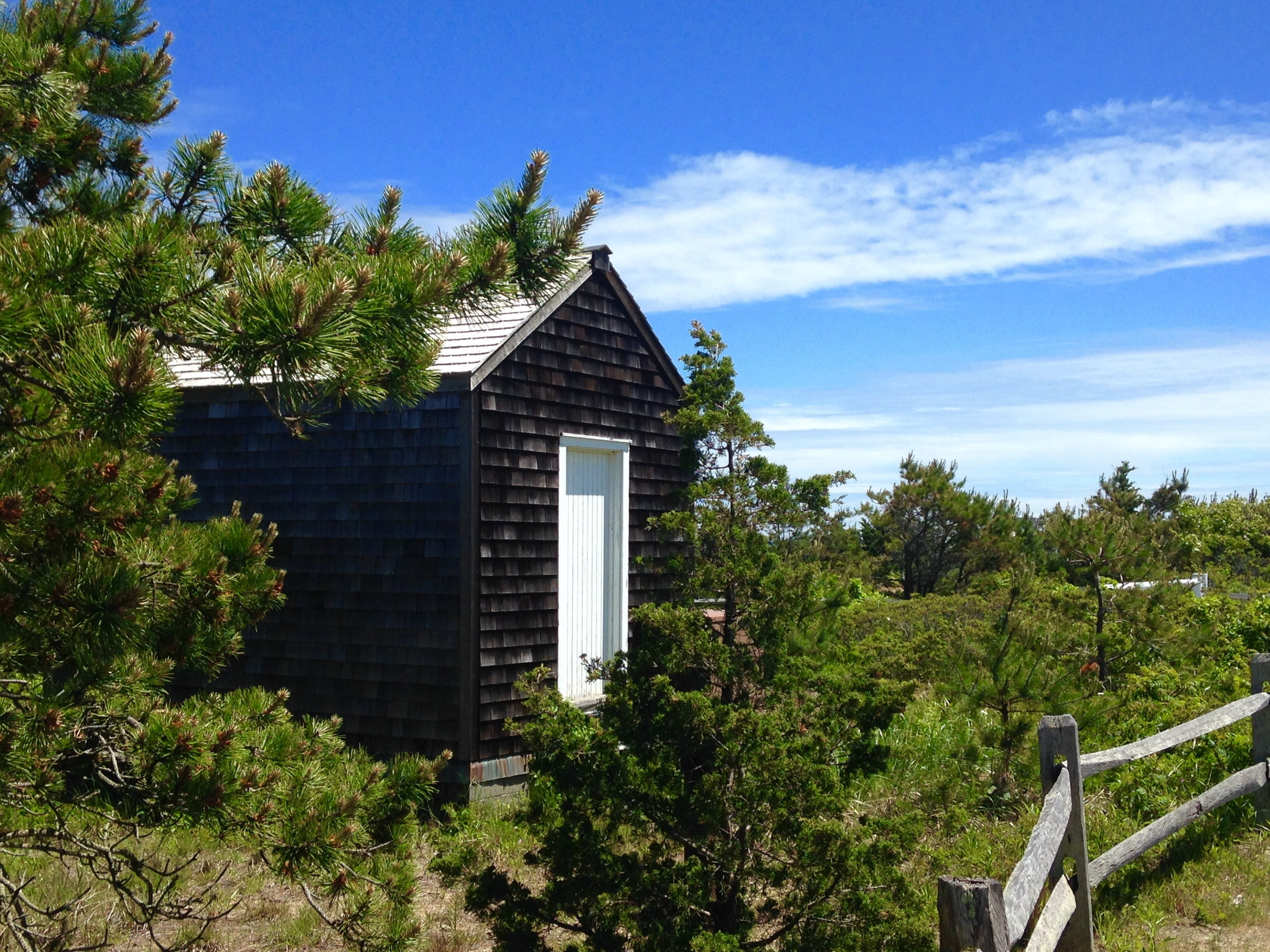 shed, landscape, outdoors, architecture, built structure, tree