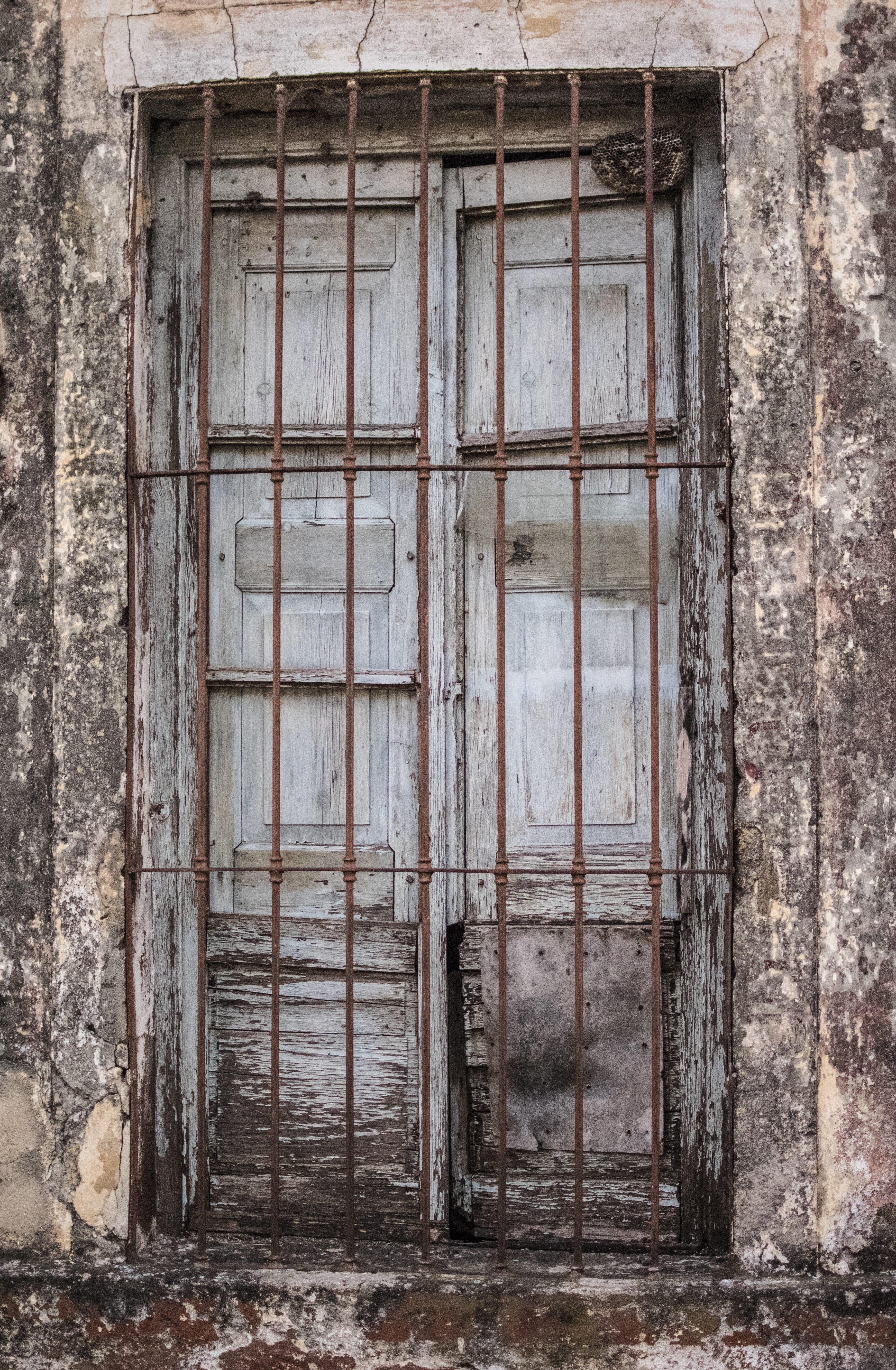 window, building, facade, architecture, built structure, building exterior