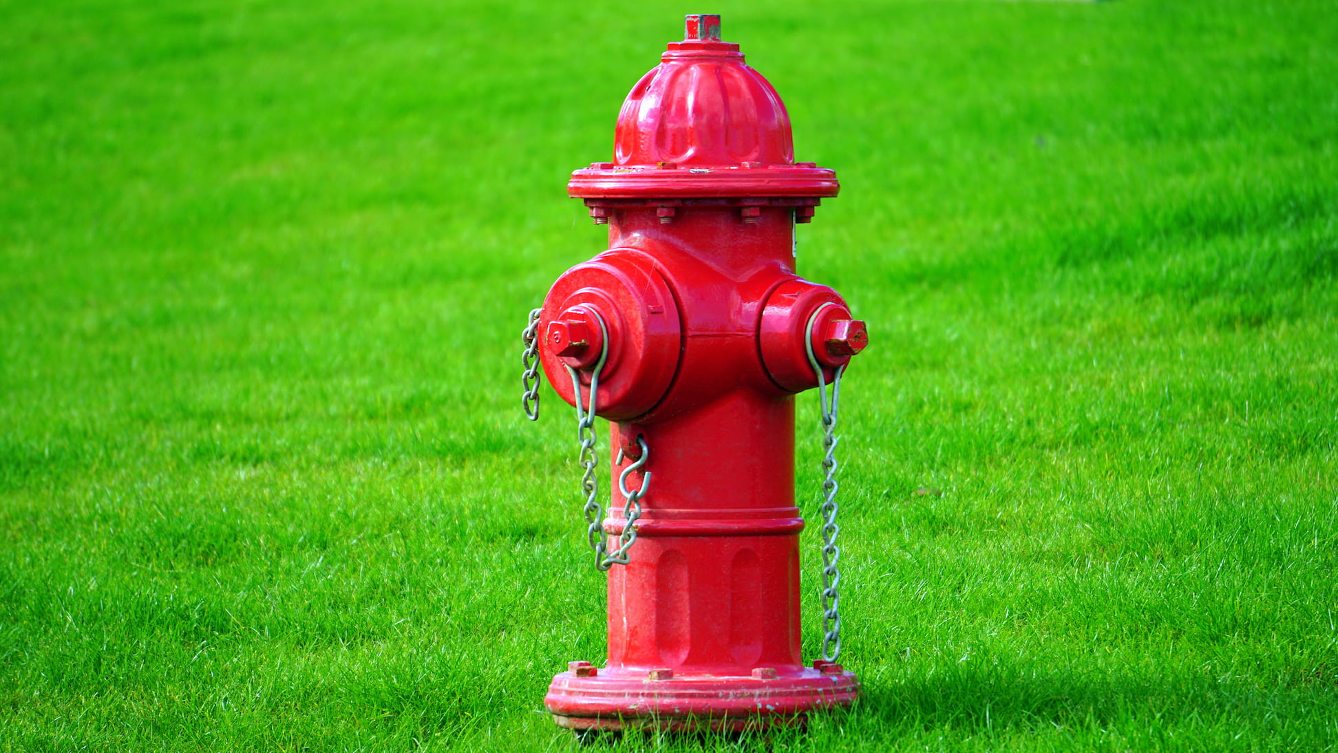 Free download | HD wallpaper: red fire hydrant, nature, green, grass