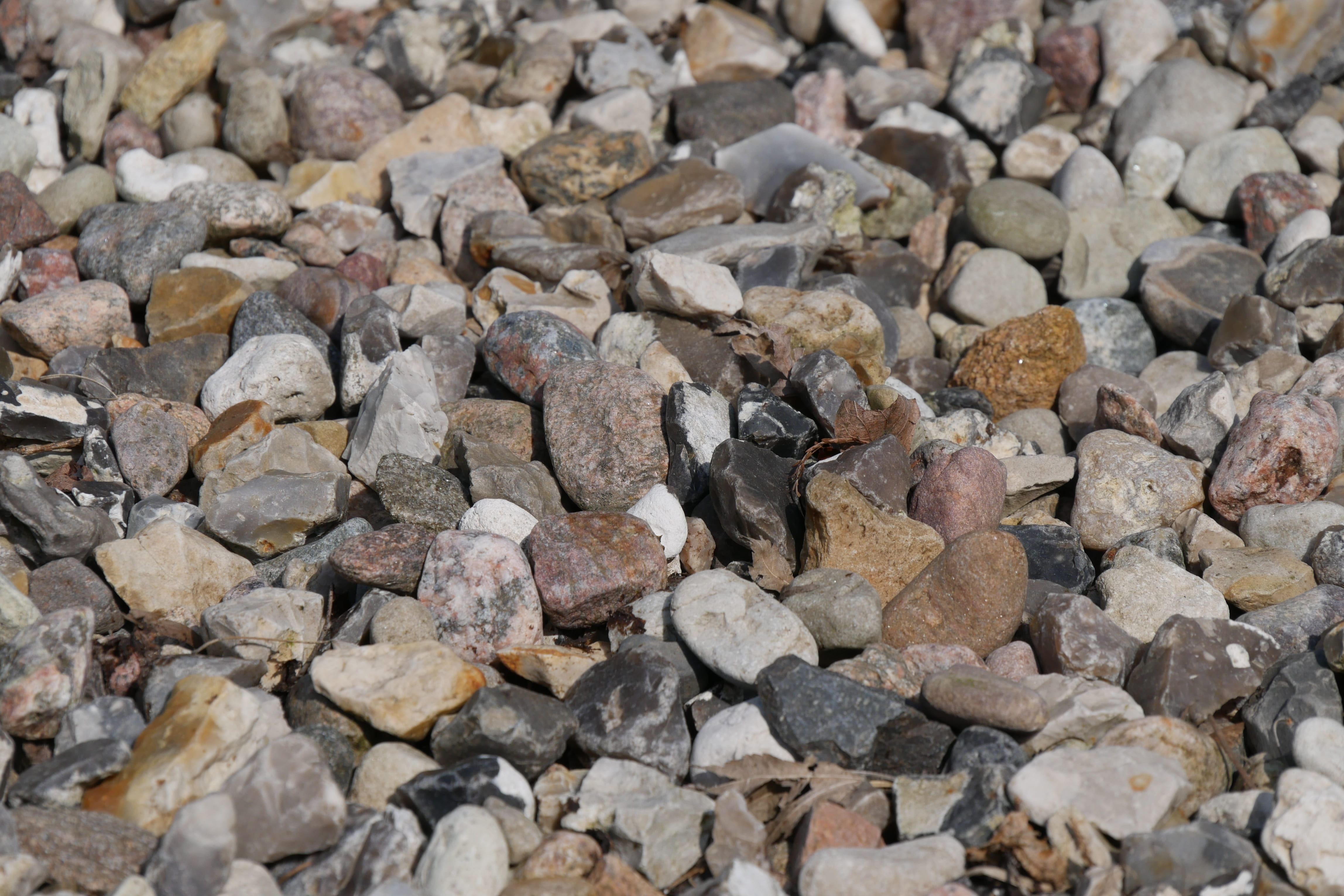 stone, pattern, texture, solid, rock, rock - object, animal