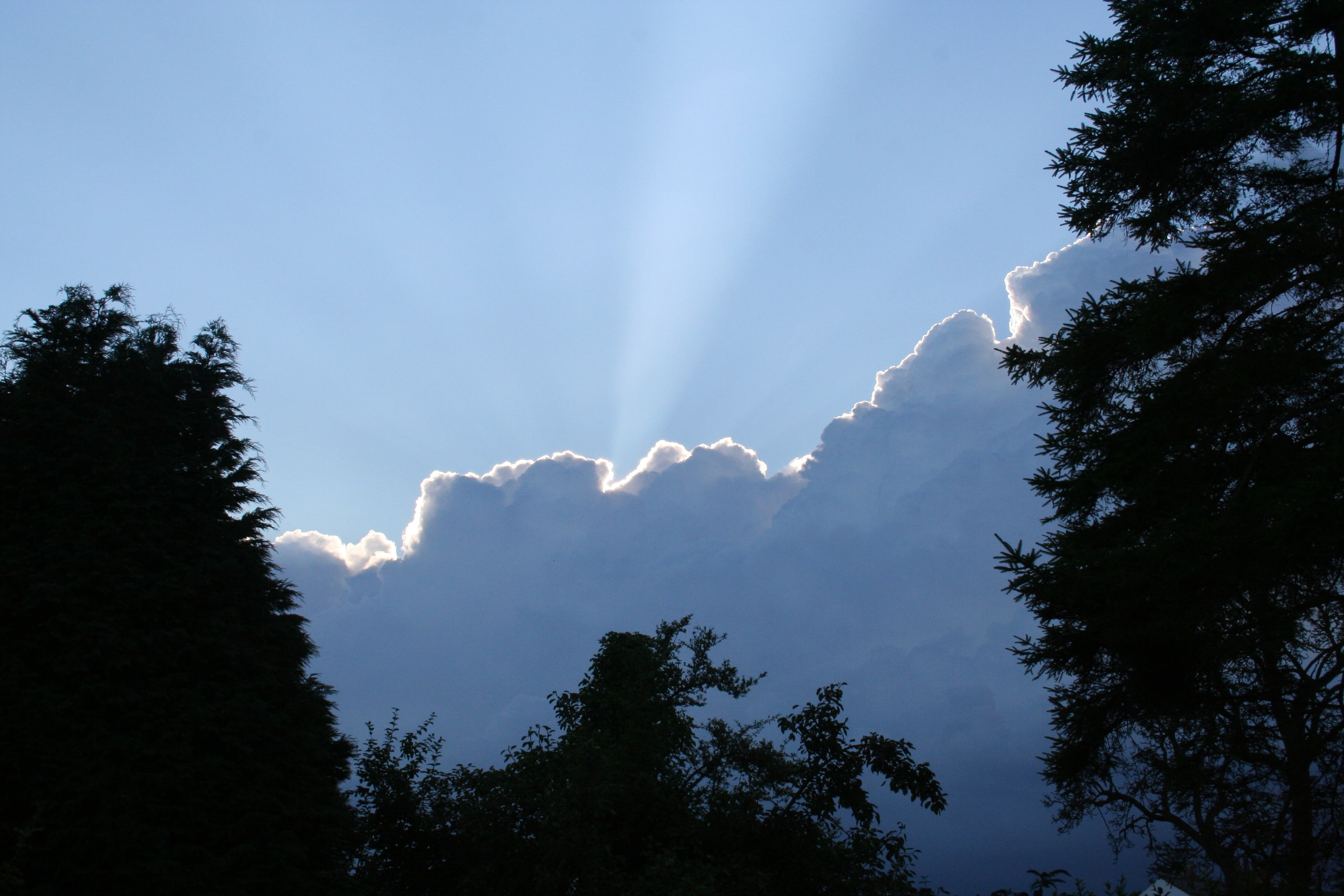 cloud, silver, lining, sky, silhouette, blue, tree, tress, ray