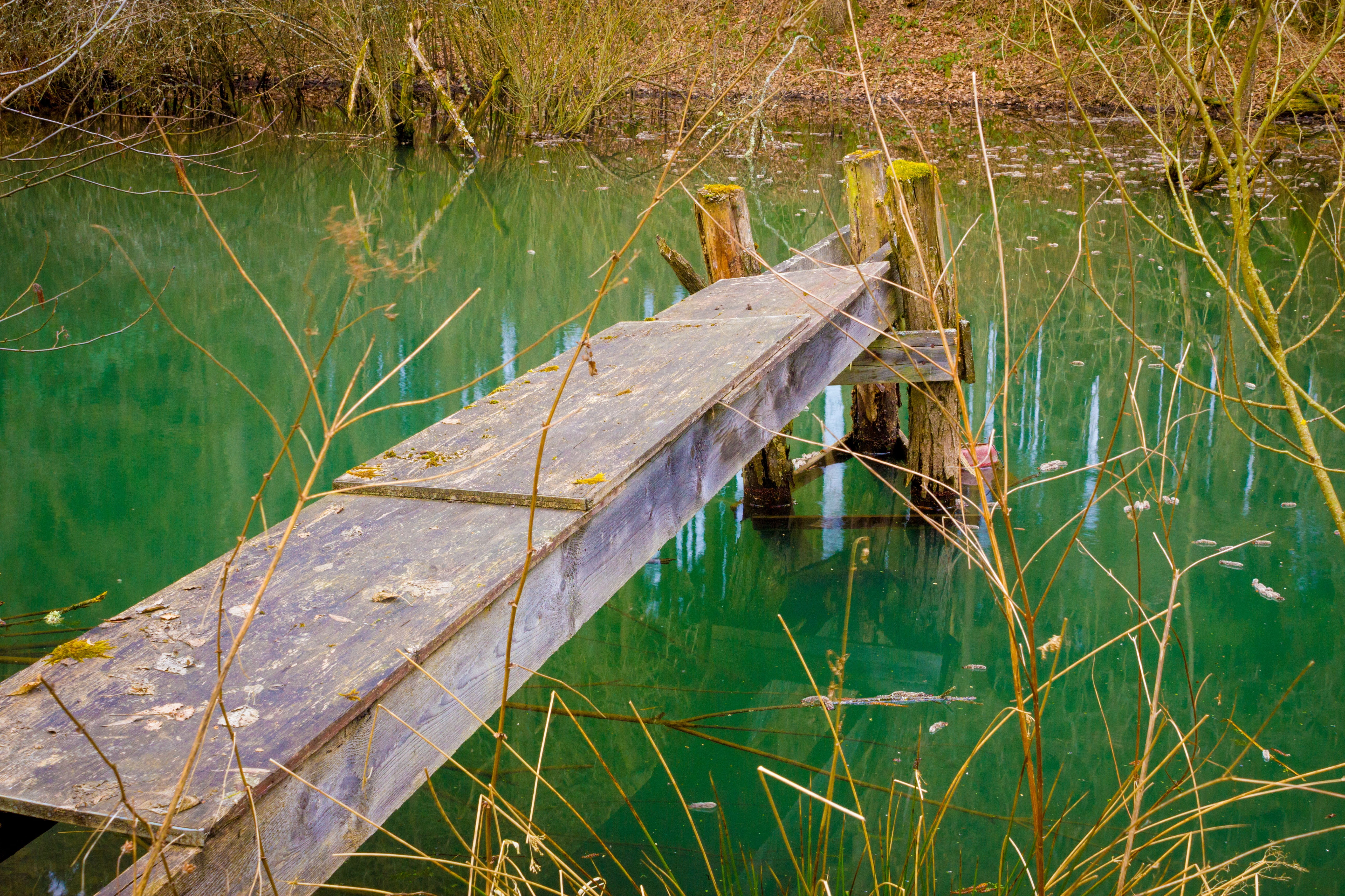web, lake, pond, landscape, nature, waters, river, reflection