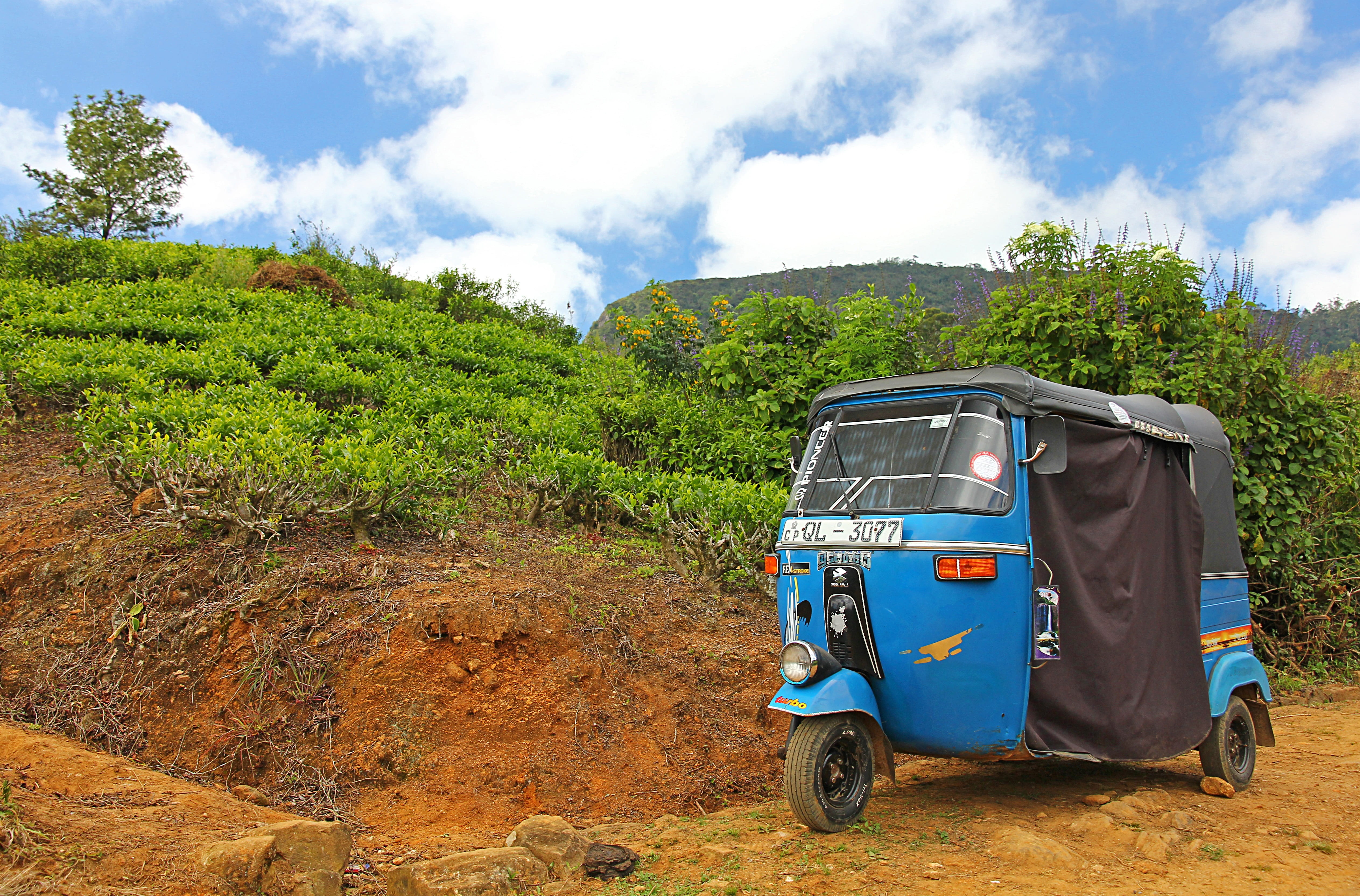blue and black auto rickshaw parked near green leaf plant during daytime
