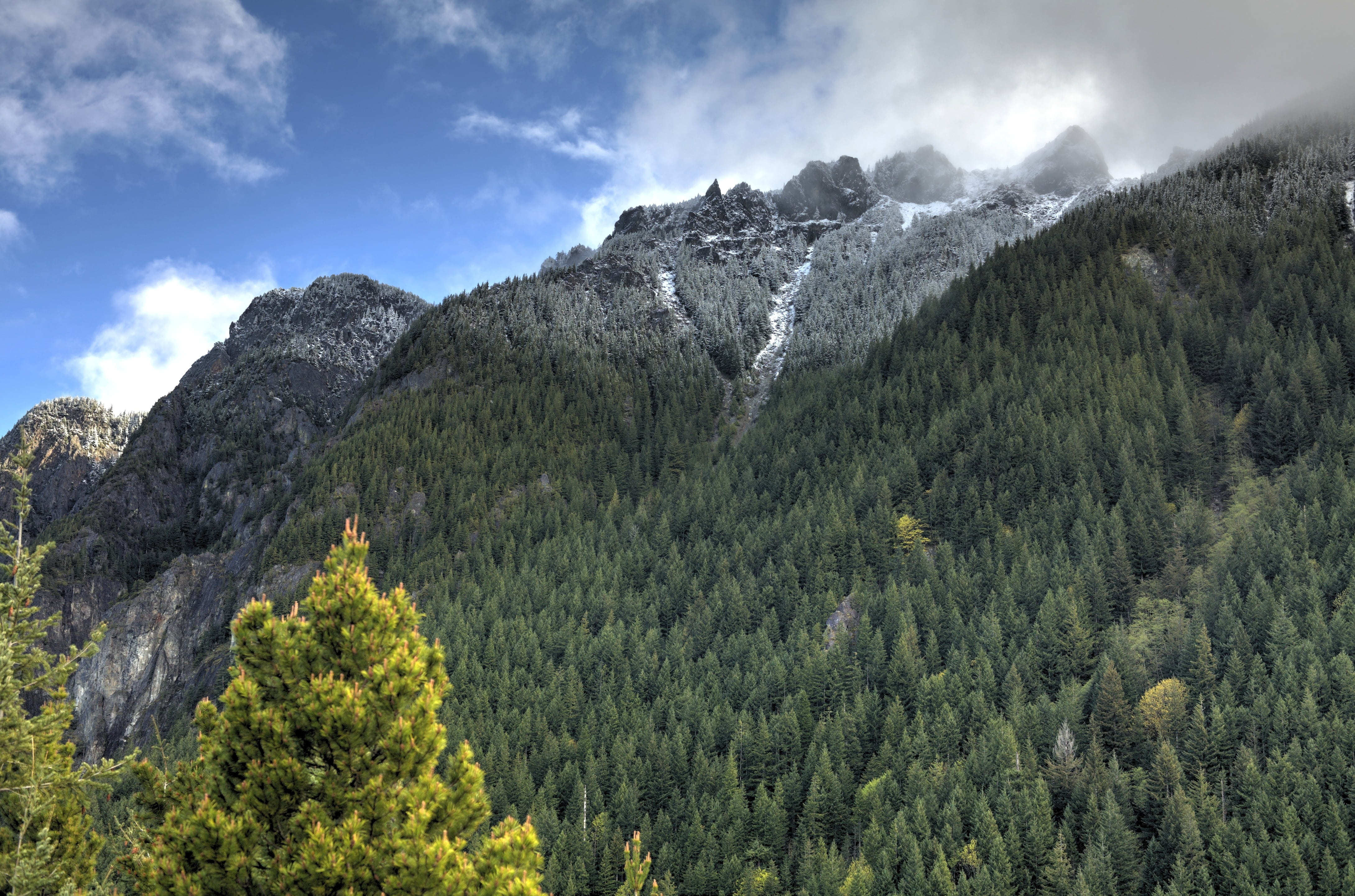 clouds, forest, landscape, mountain, nature, sky, trees, scenics