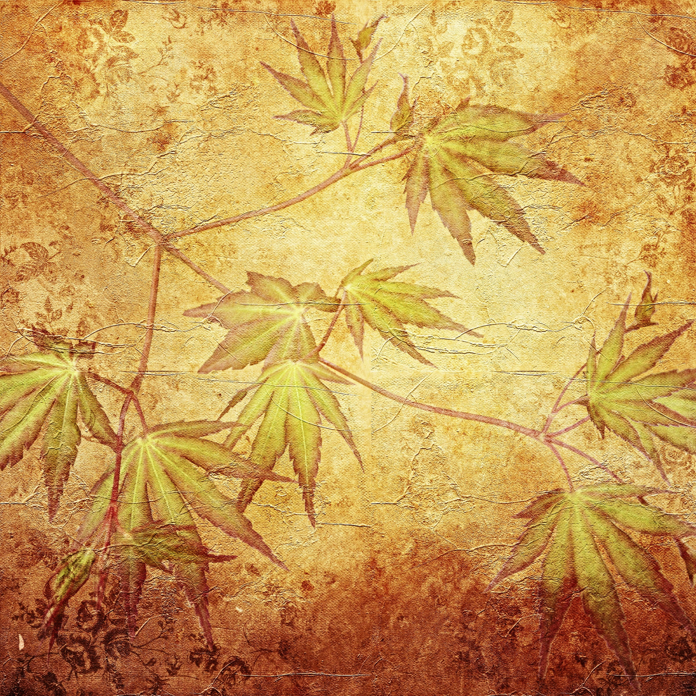 orange leaves, texture, background, pattern, maple, maple leaves