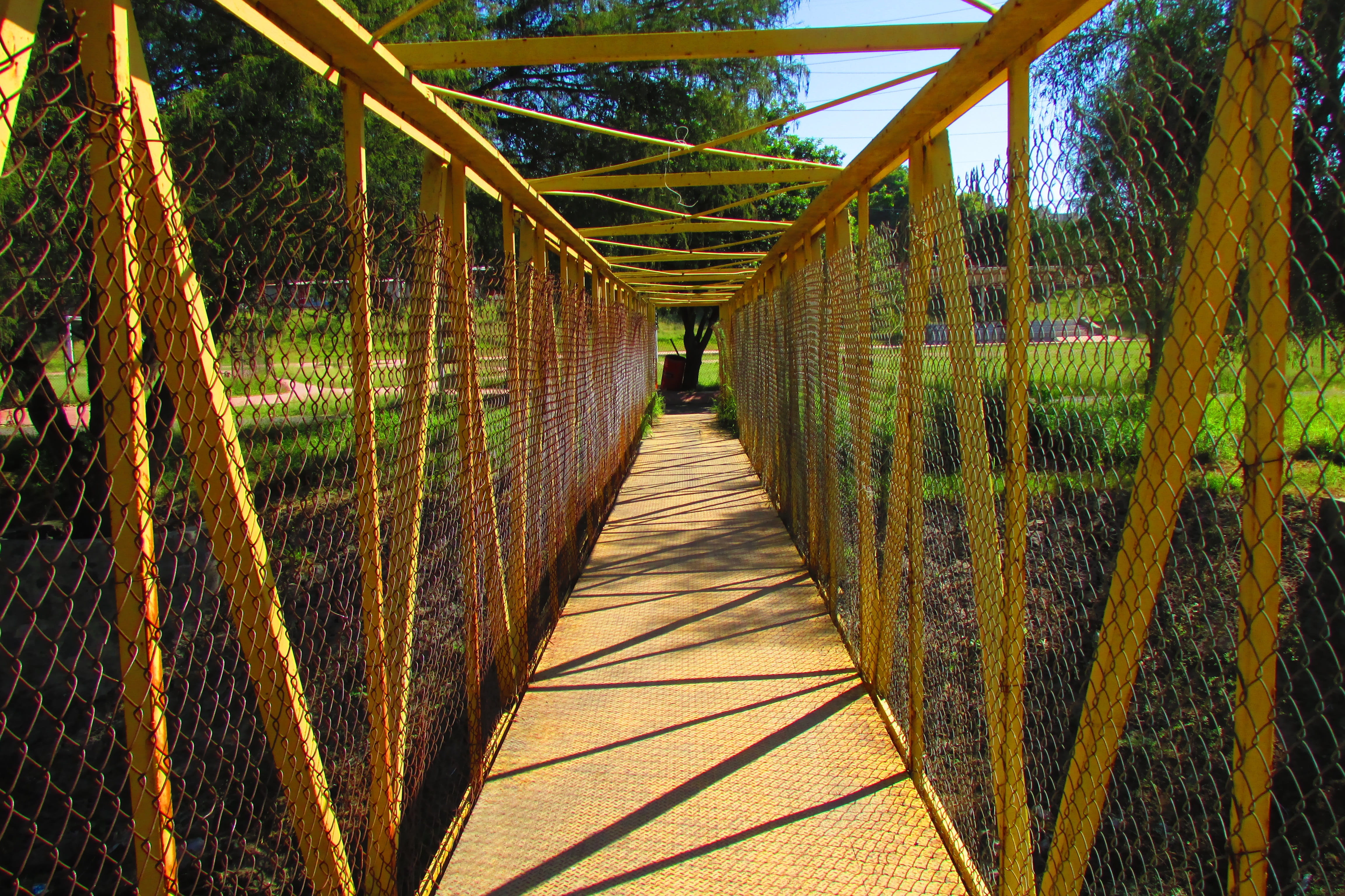 park, bridge, connection, the way forward, direction, built structure