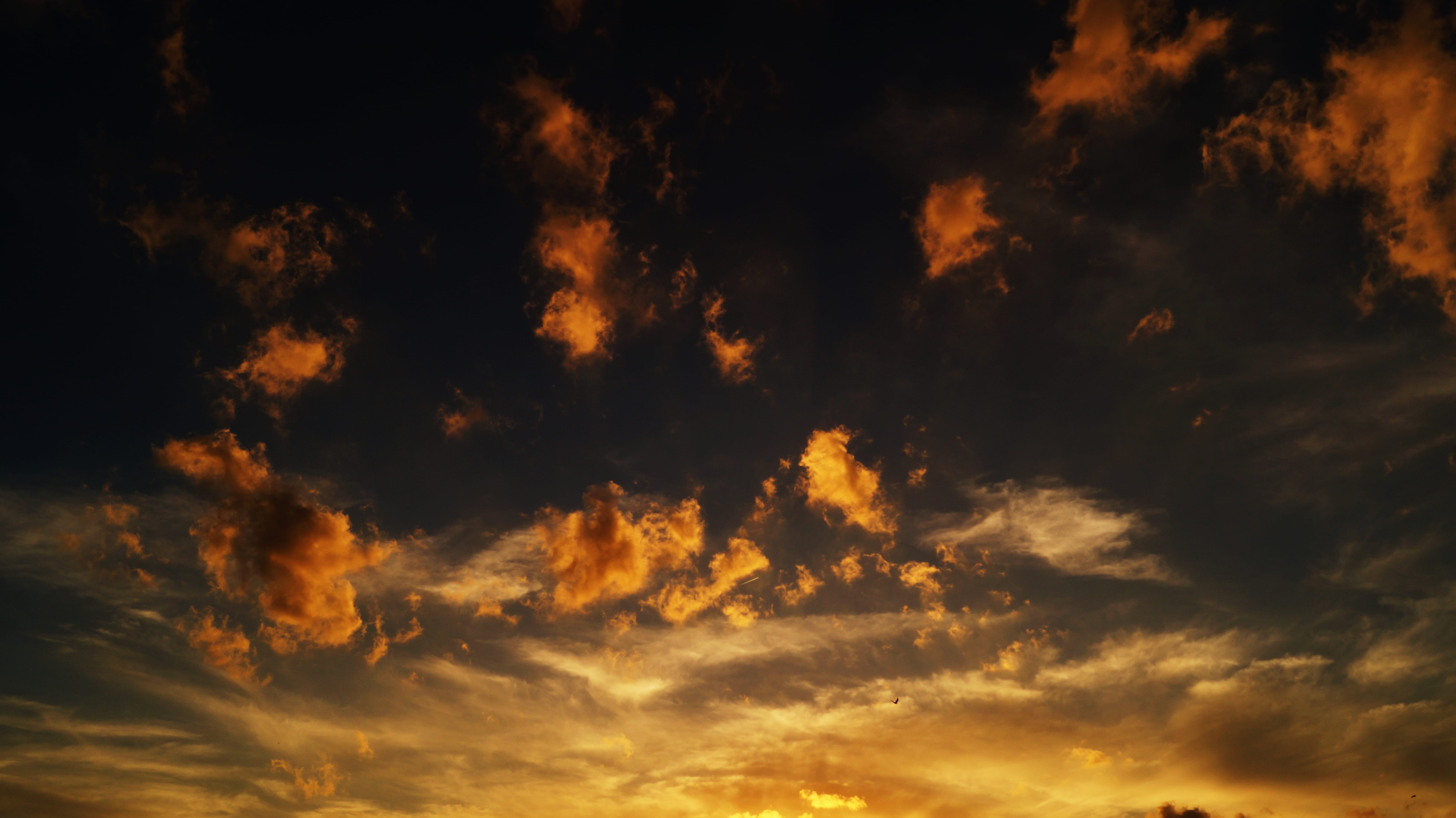 dawn, sky, clouds, dusk, cloud formation, cloudiness, cloudscape