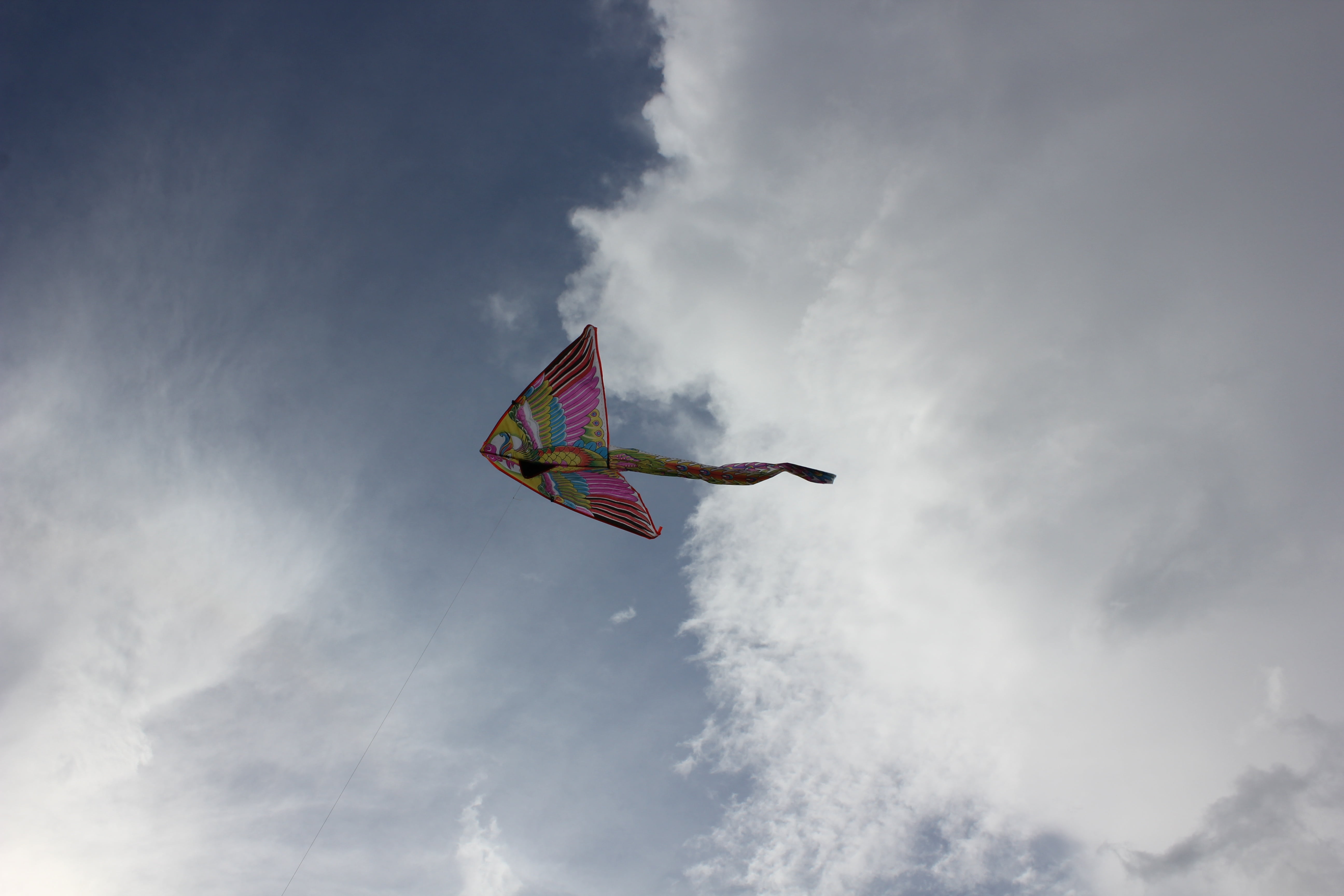 kite, sky, clouds, wind, flying, cloud - sky, nature, low angle view