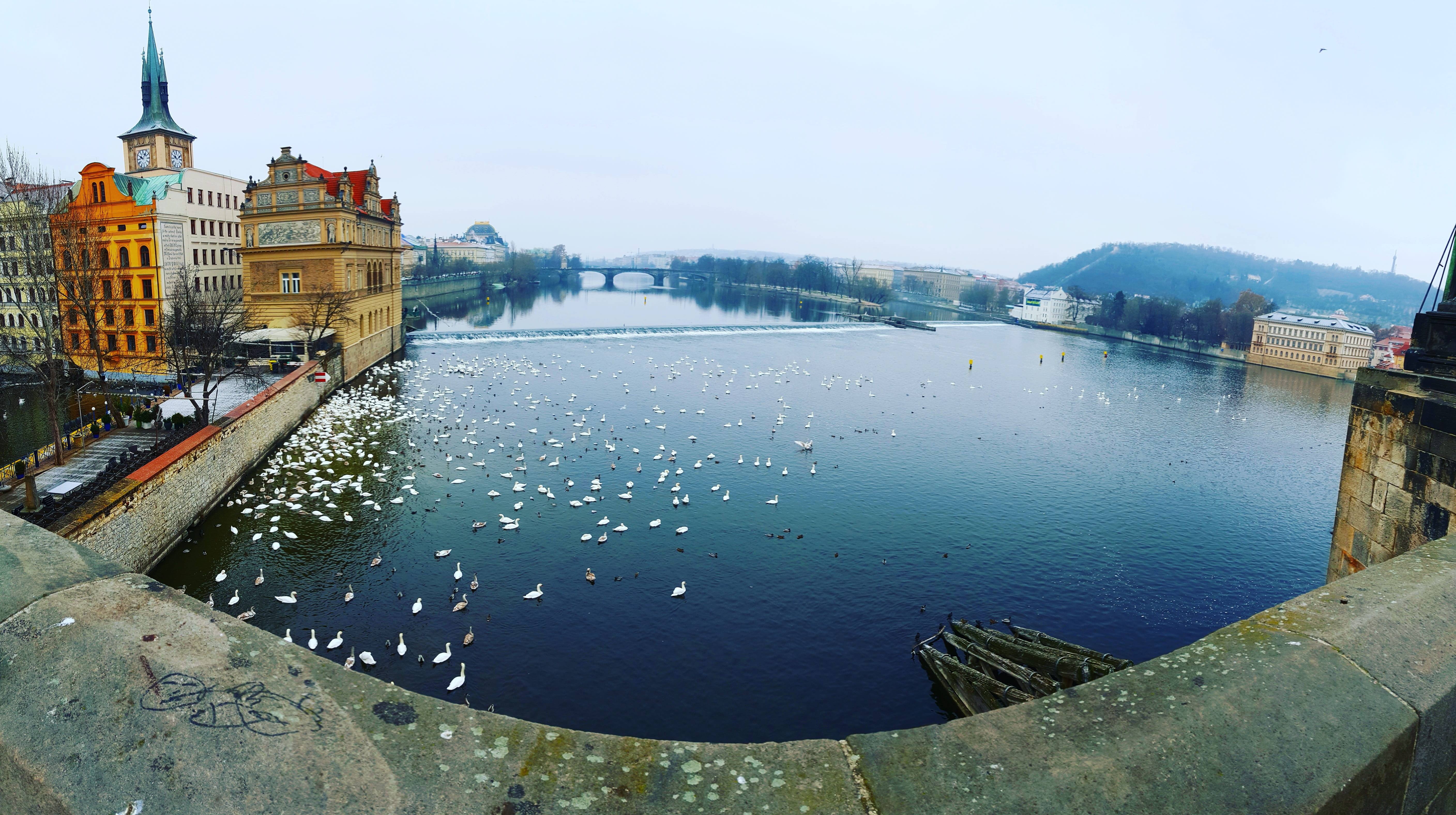 prague, river, bridge, architecture, built structure, water