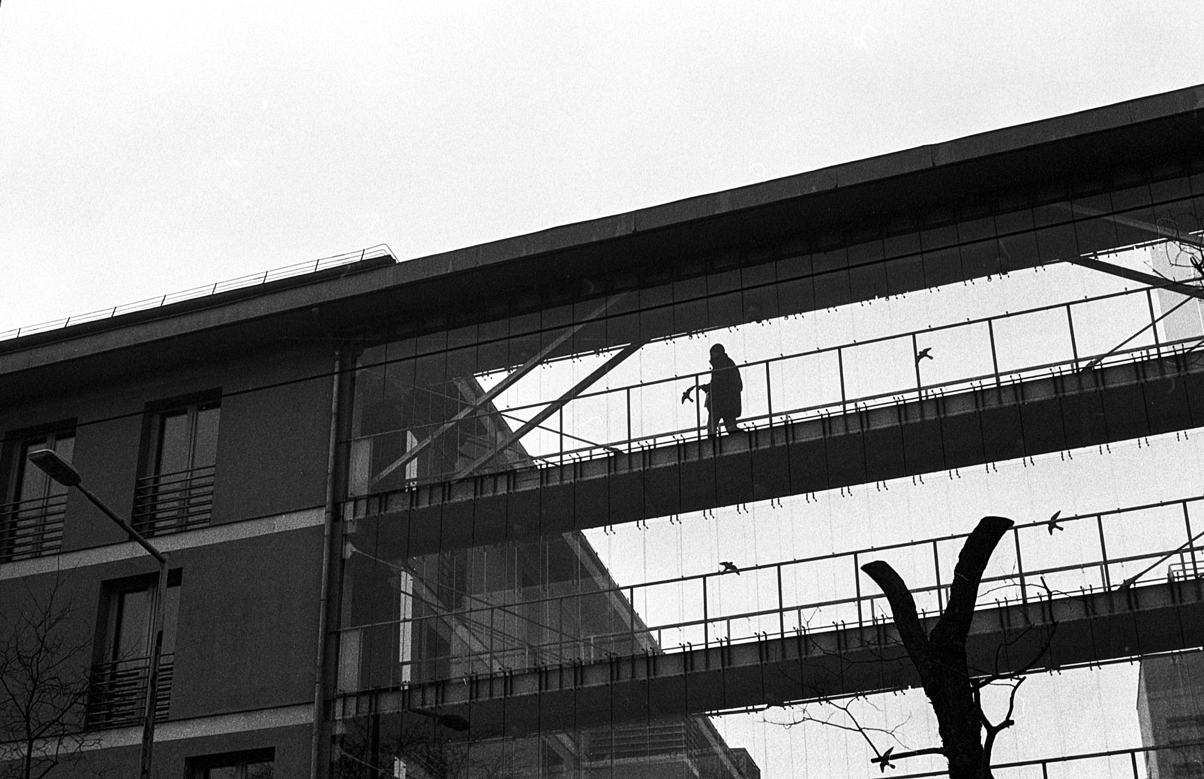 architecture, outdoors, building, city, expression, built structure