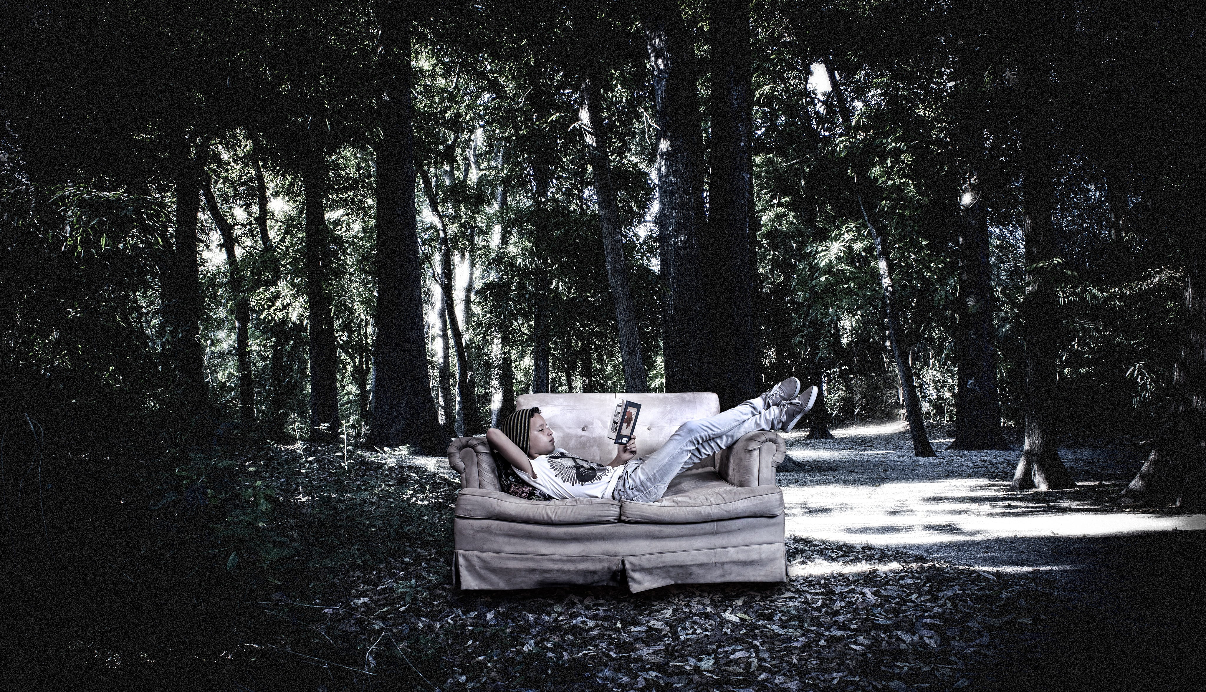 surrealism, forest, reading, nature, mountain, tree, trees