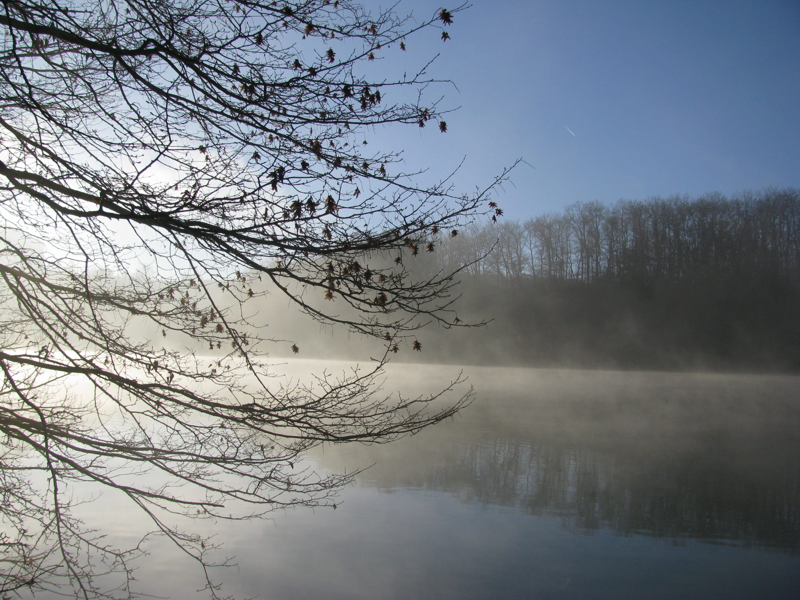 river, mist, winter, trees, tranquility, water, tranquil scene