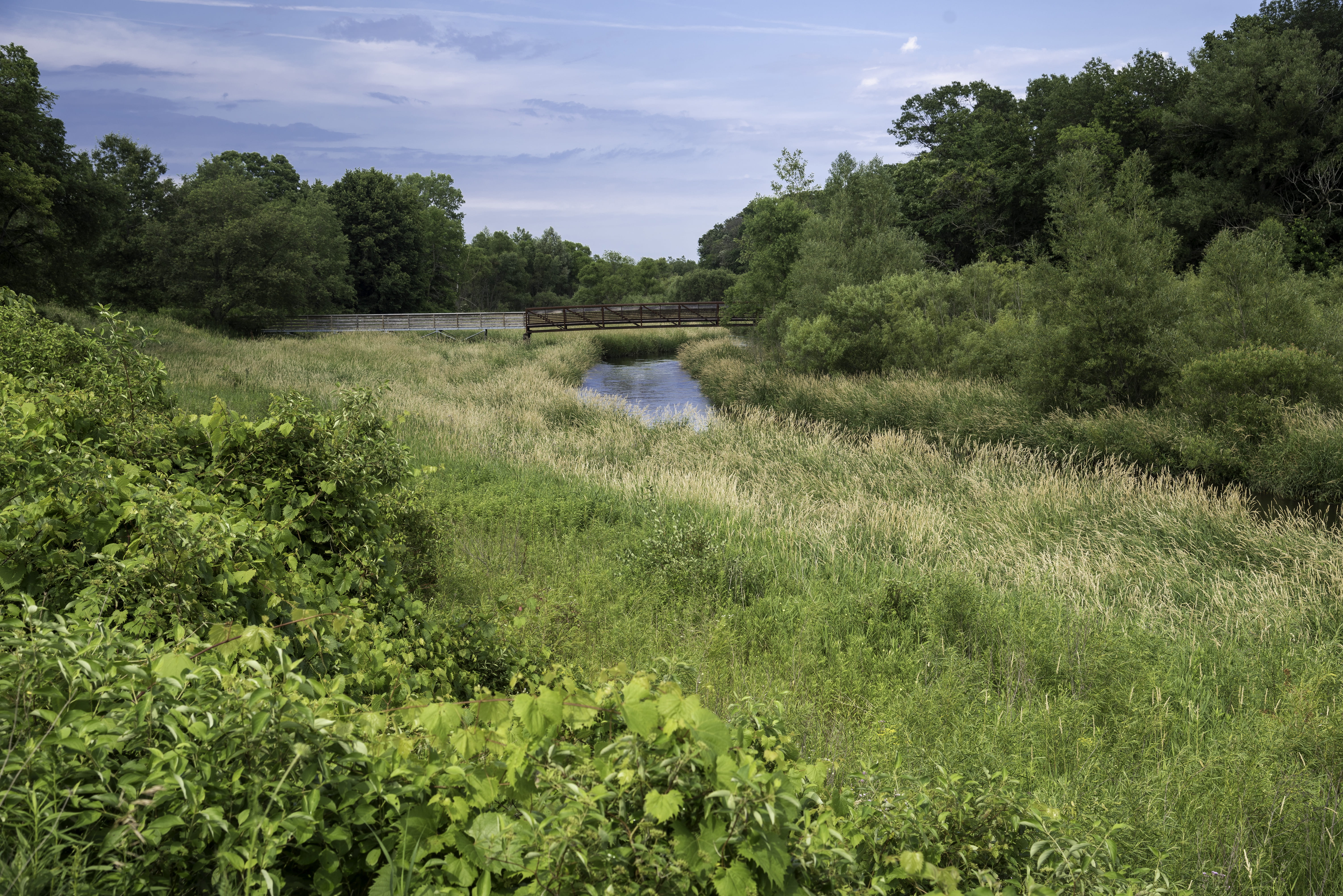 Grassfield landscape and bridge at Camrock County Park, landscapes