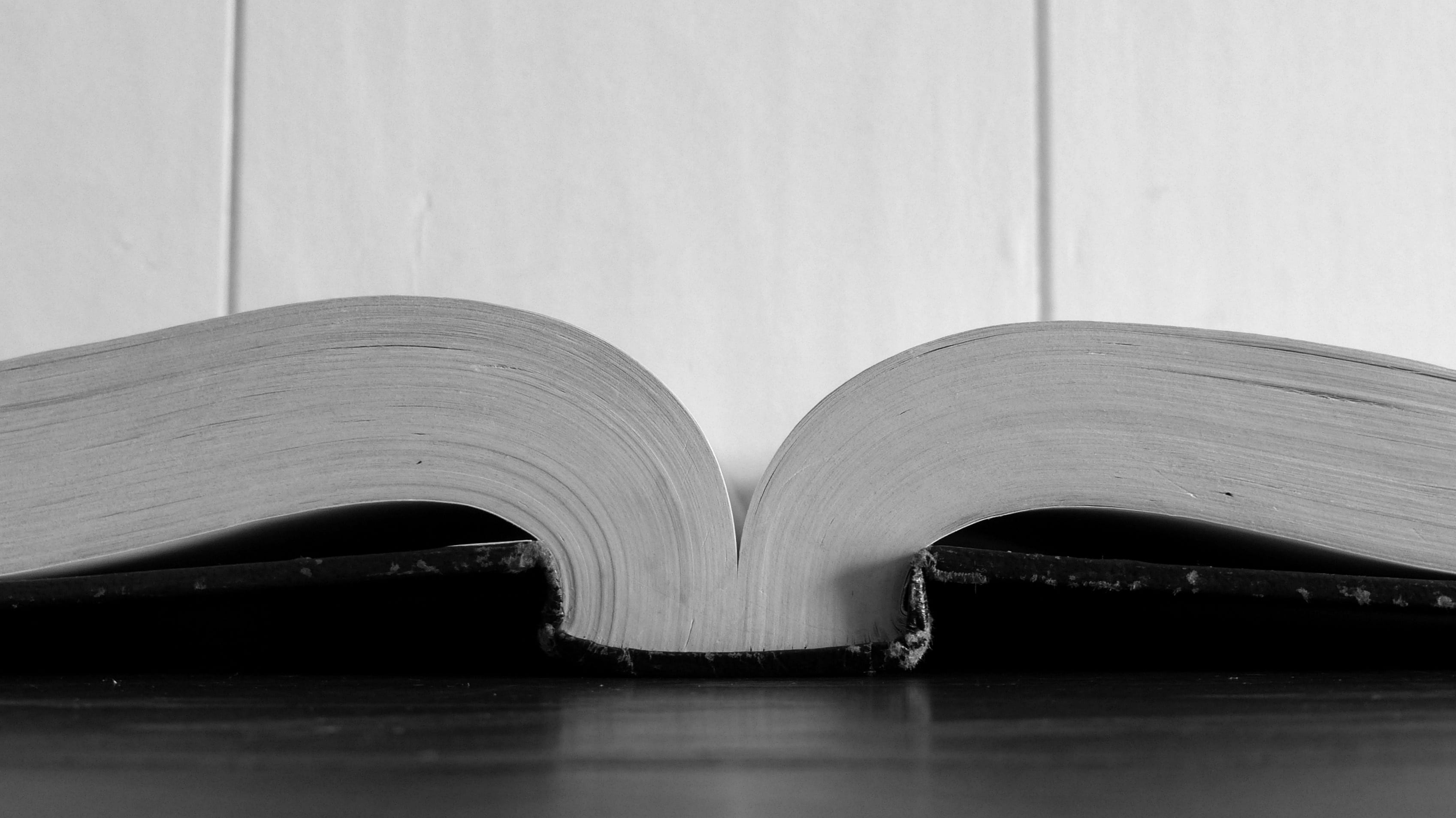 book, study, bible, bible study, studying, work, learning, modern