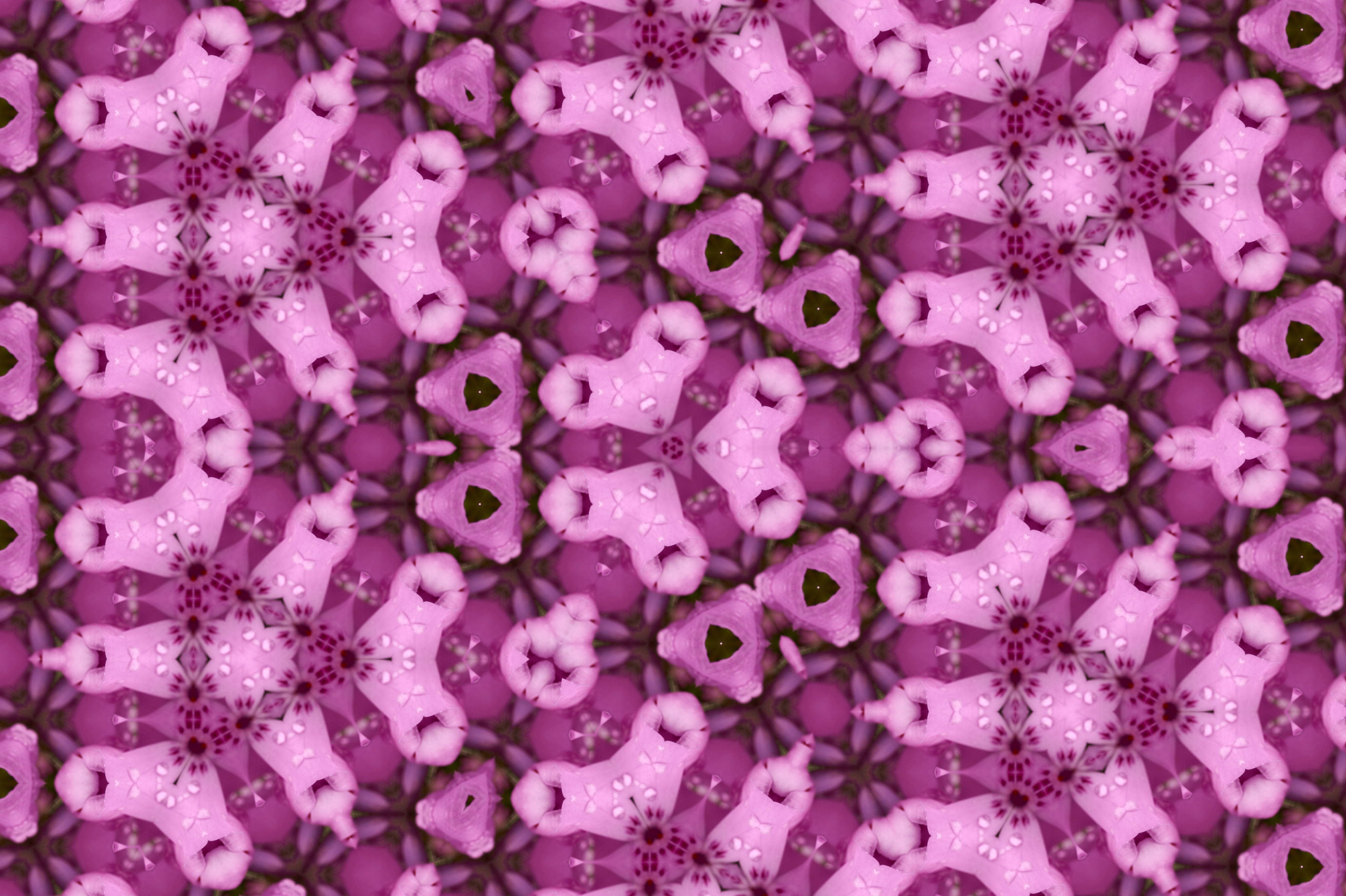 ornament, pattern, texture, full frame, purple, backgrounds