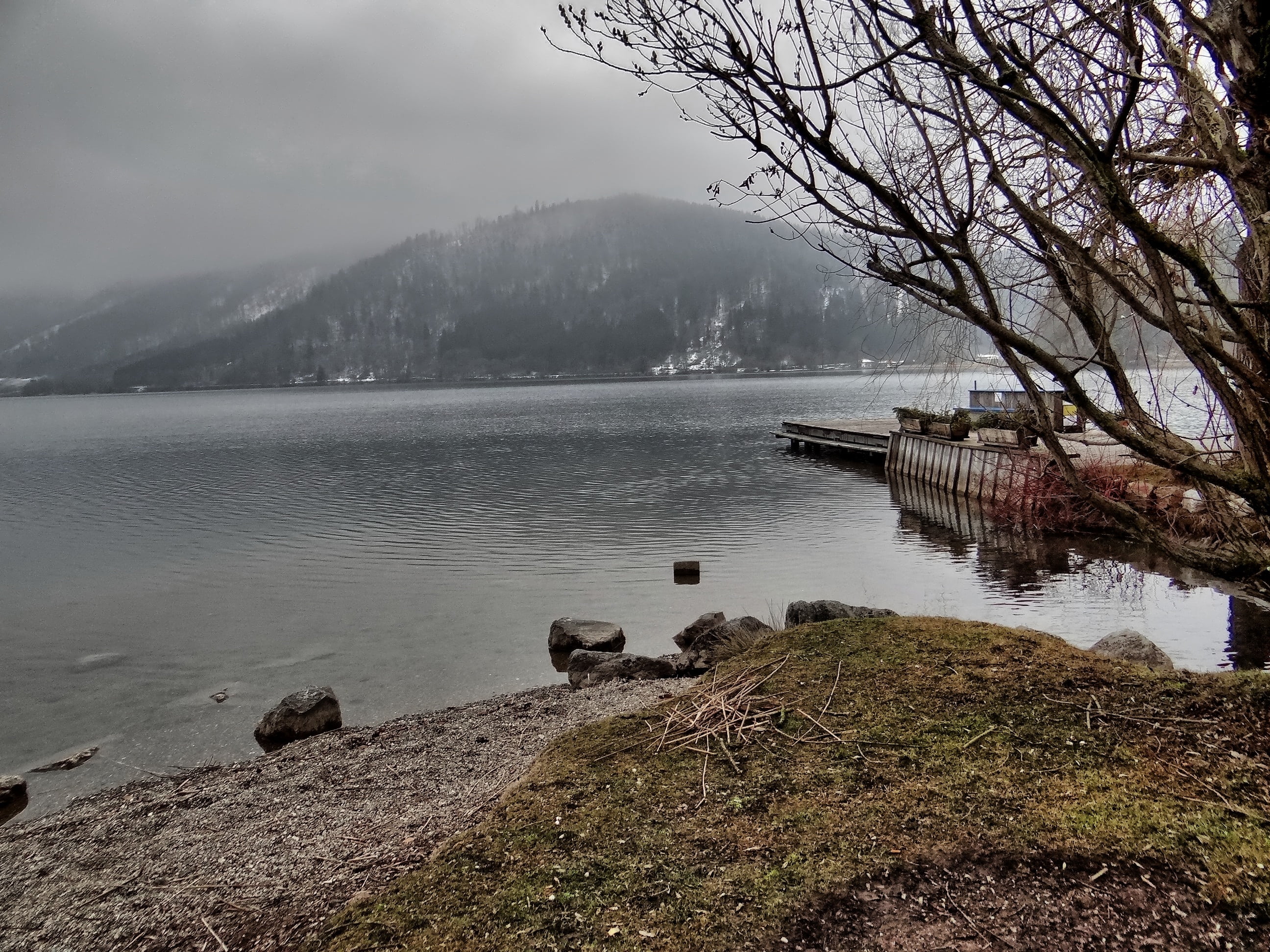 idyll, lake, web, rest, recovery, vision, rest pause, thoughtful